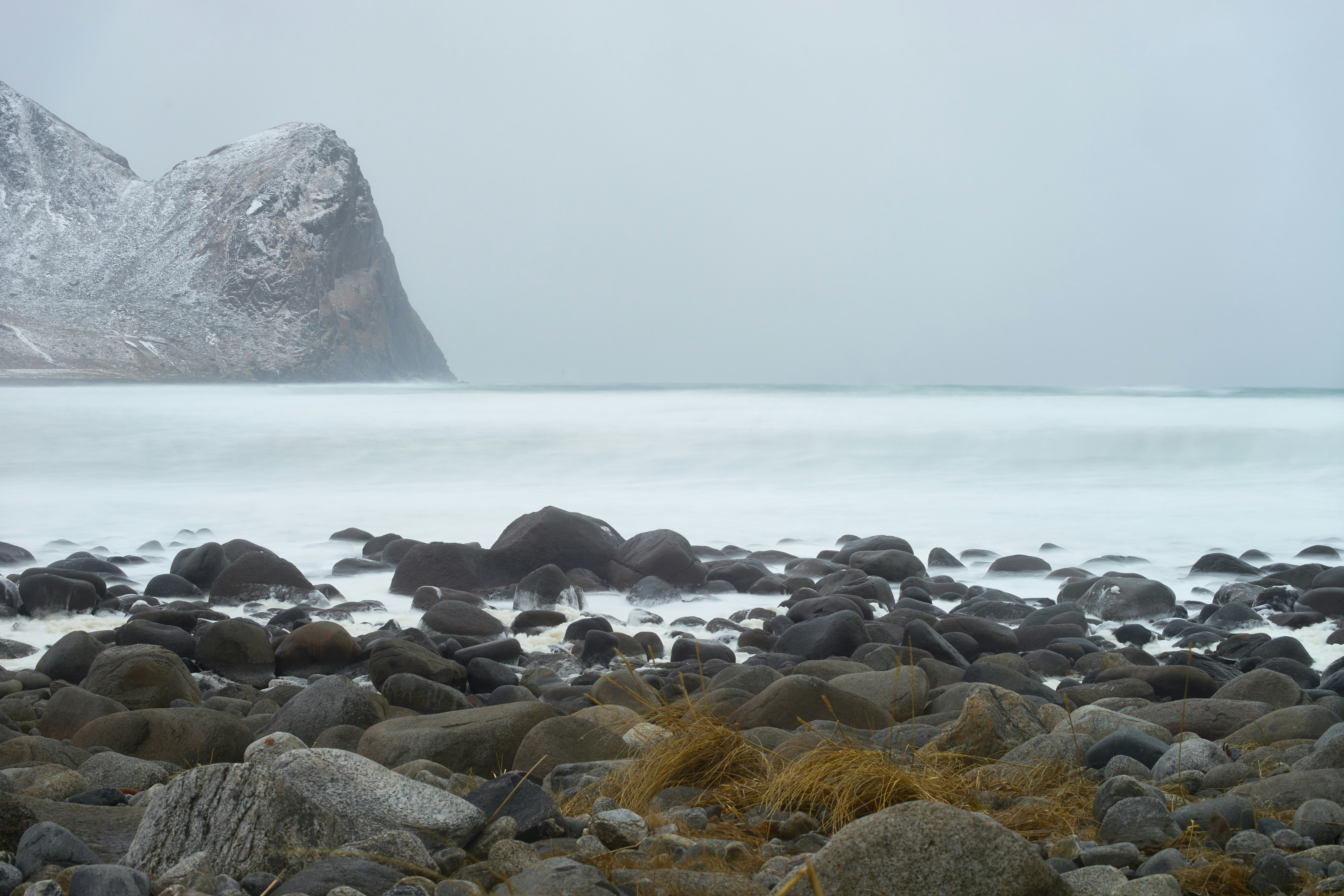 Photo by wolfgang_hasselmann