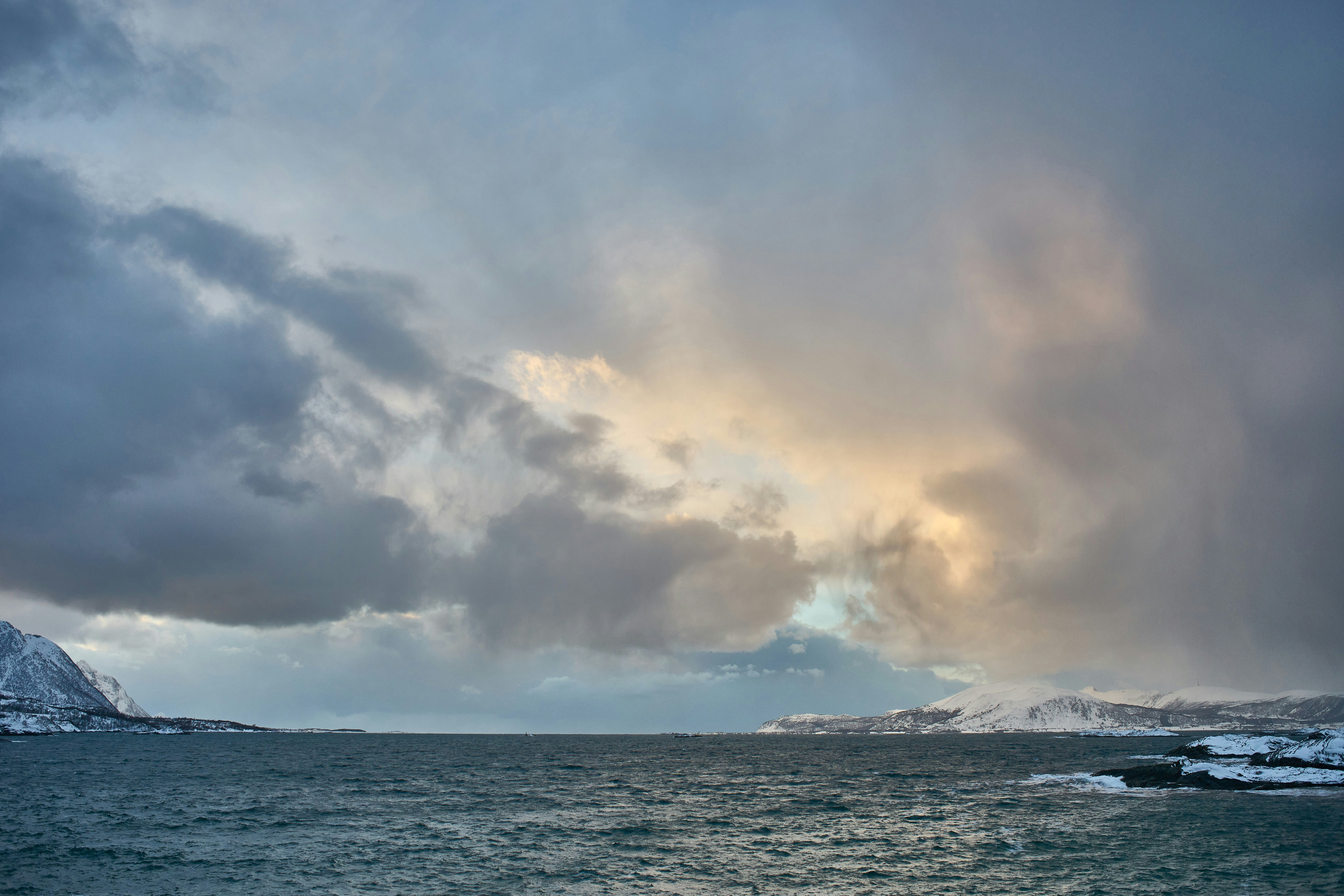 Photo by wolfgang_hasselmann