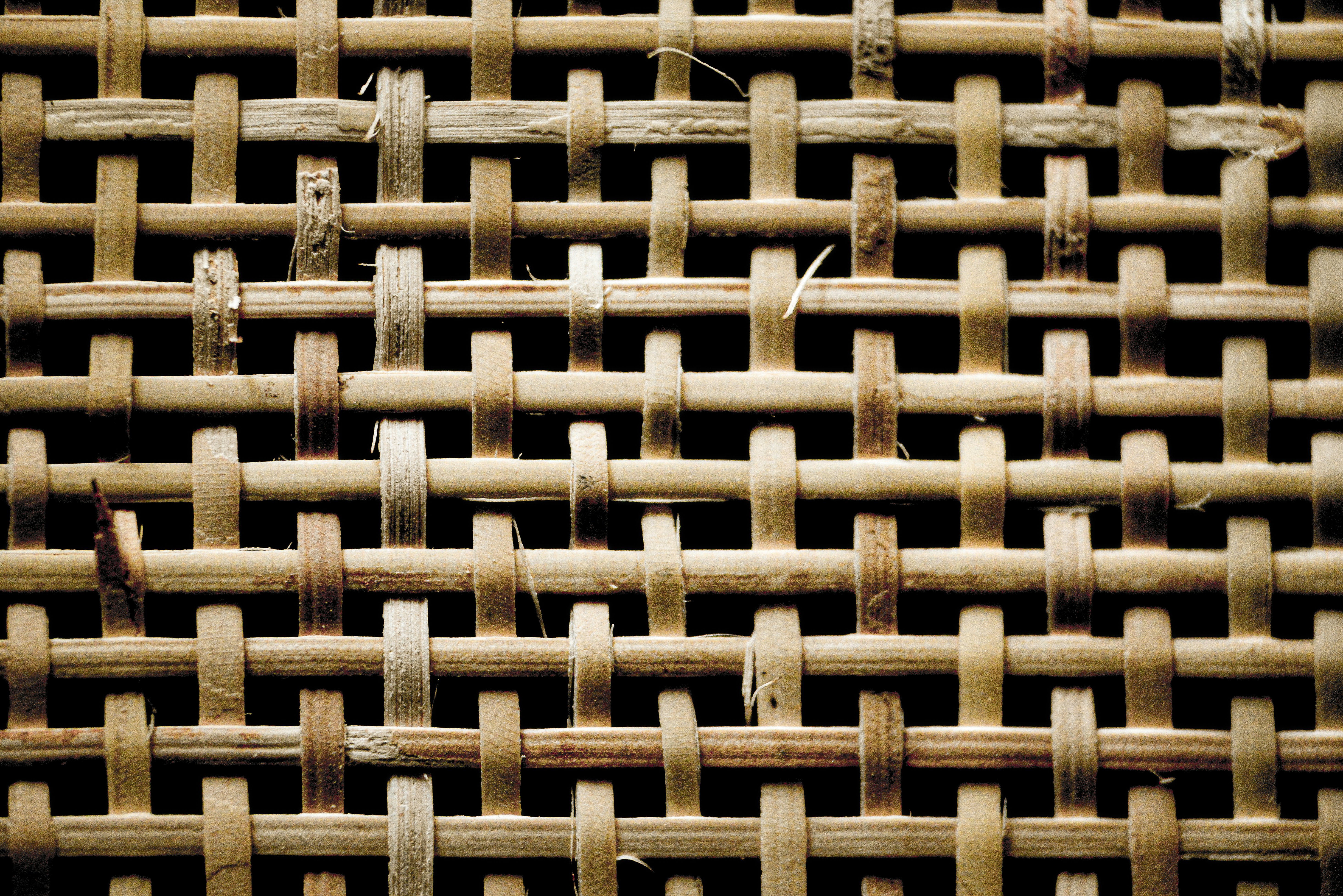 Activity Analysis Network #3: Activity, Enterprise, and Weave-the-Life