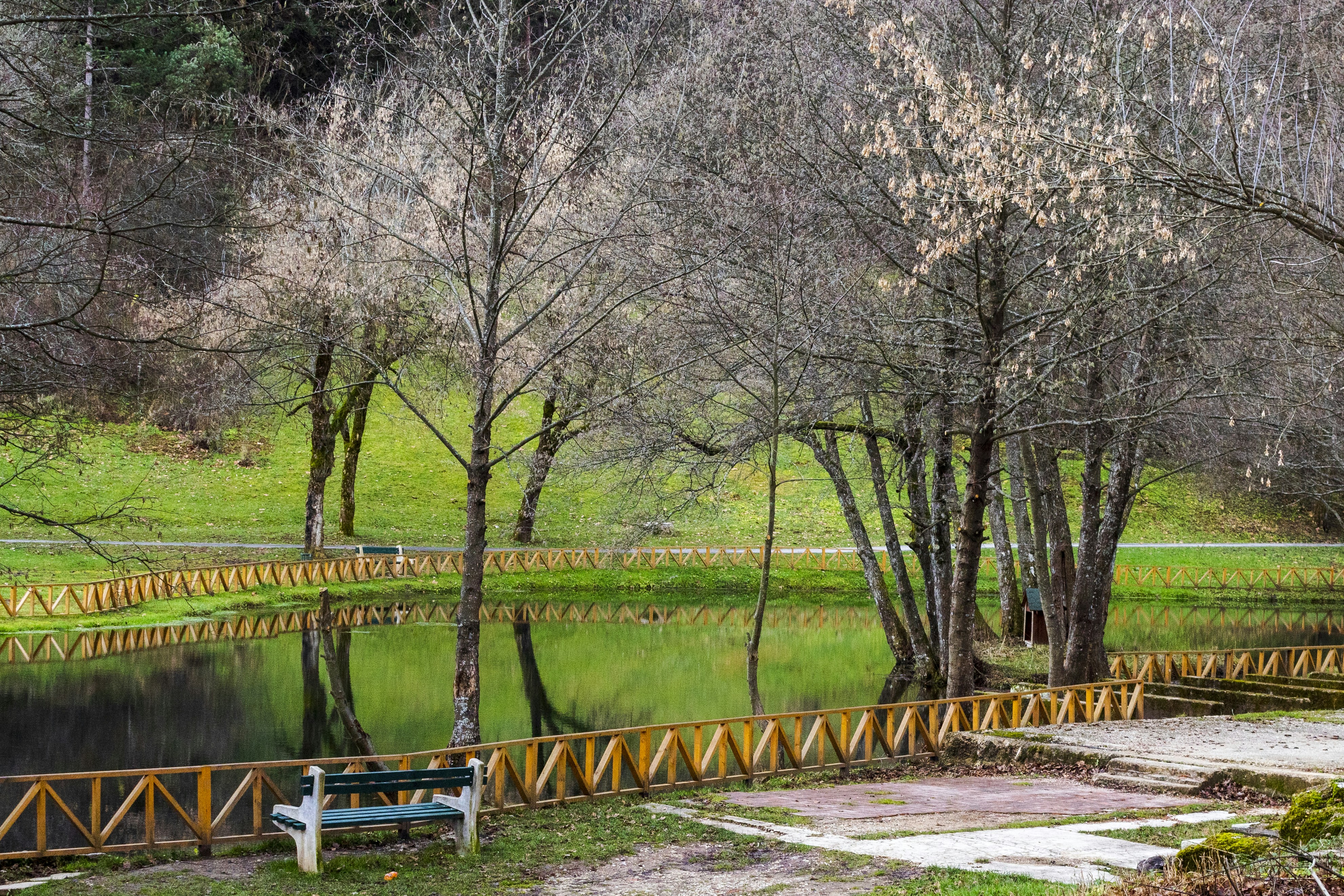 A park with a pond and a bridge
