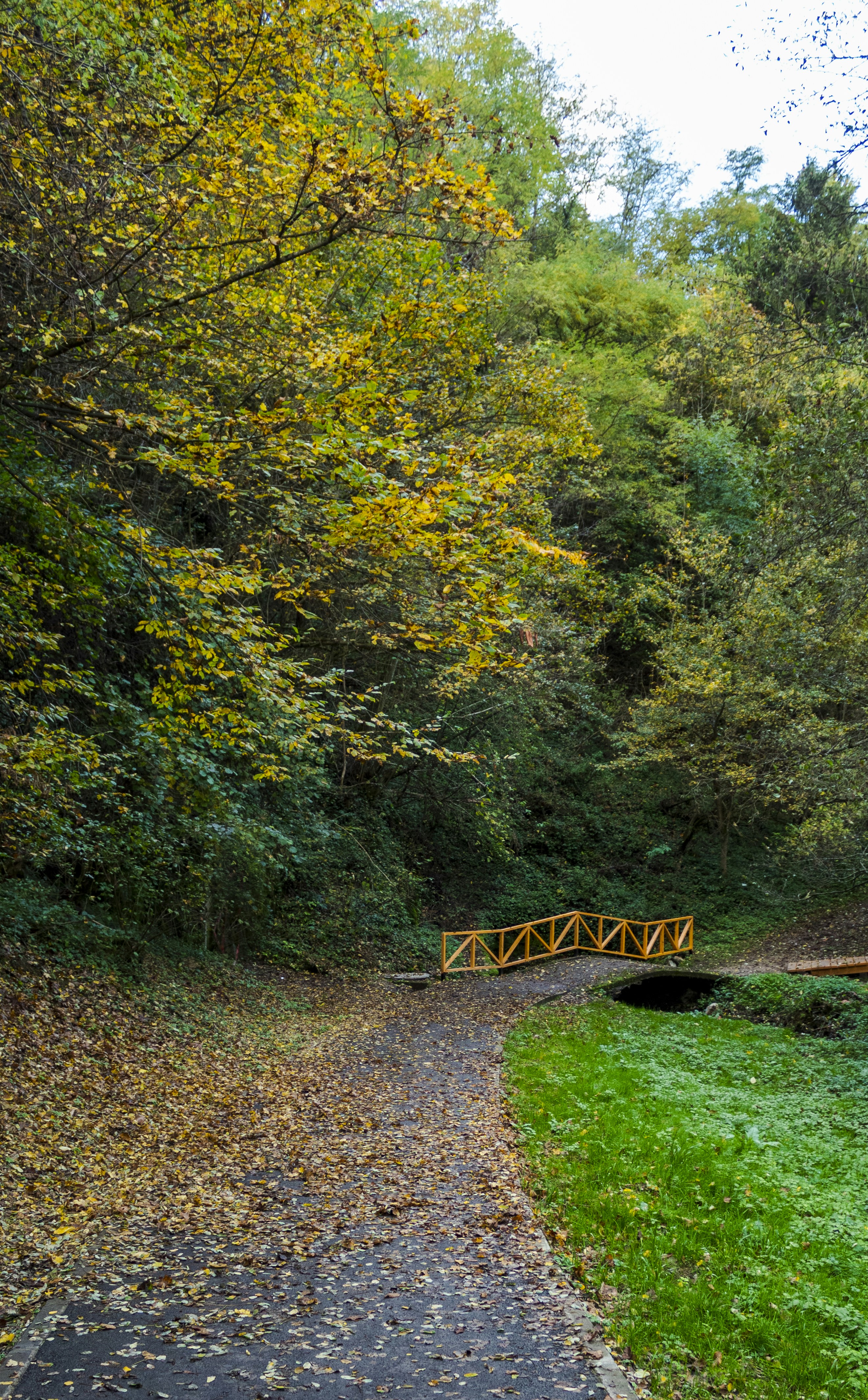 Photo by sporisevicphotography