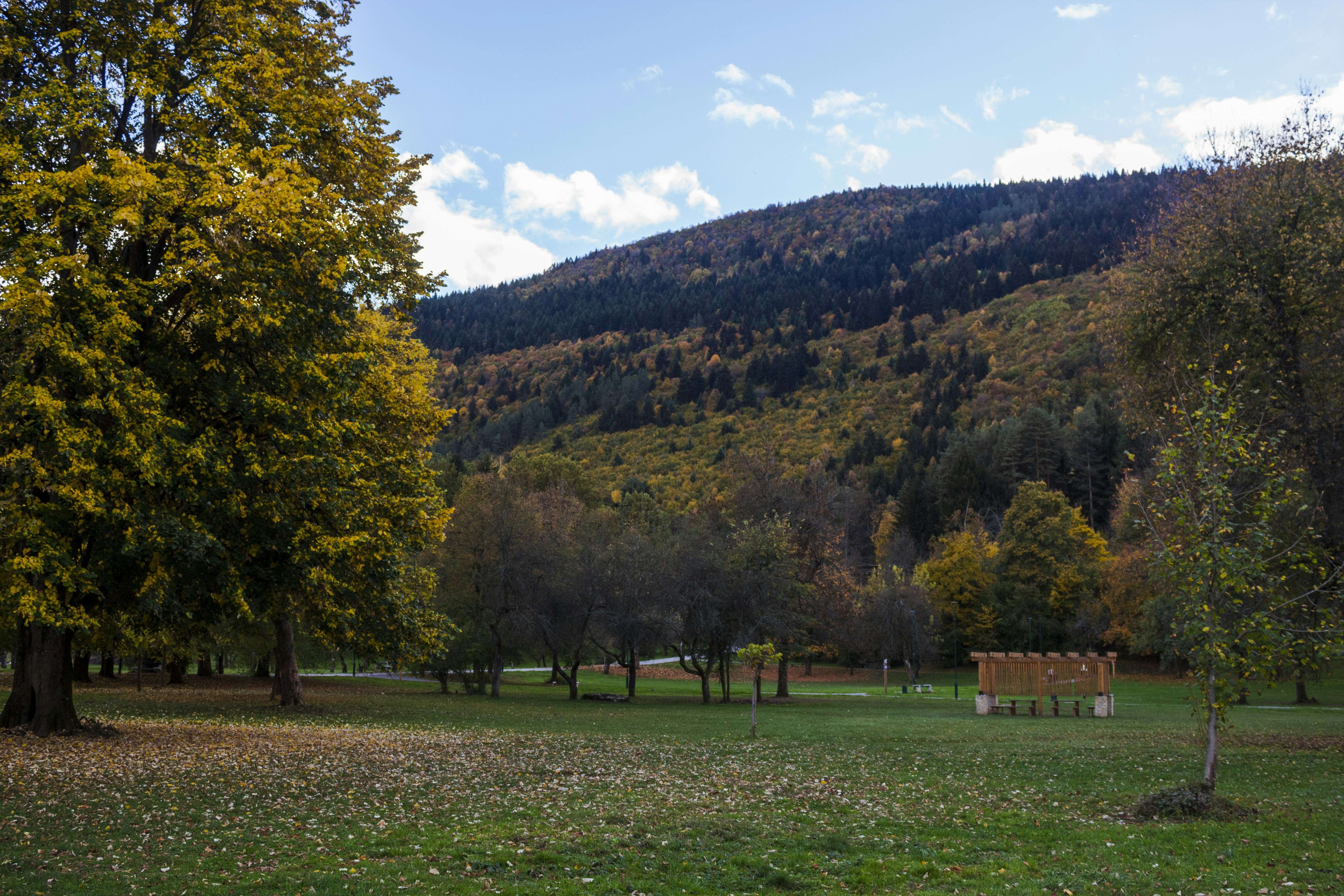 Photo by sporisevicphotography