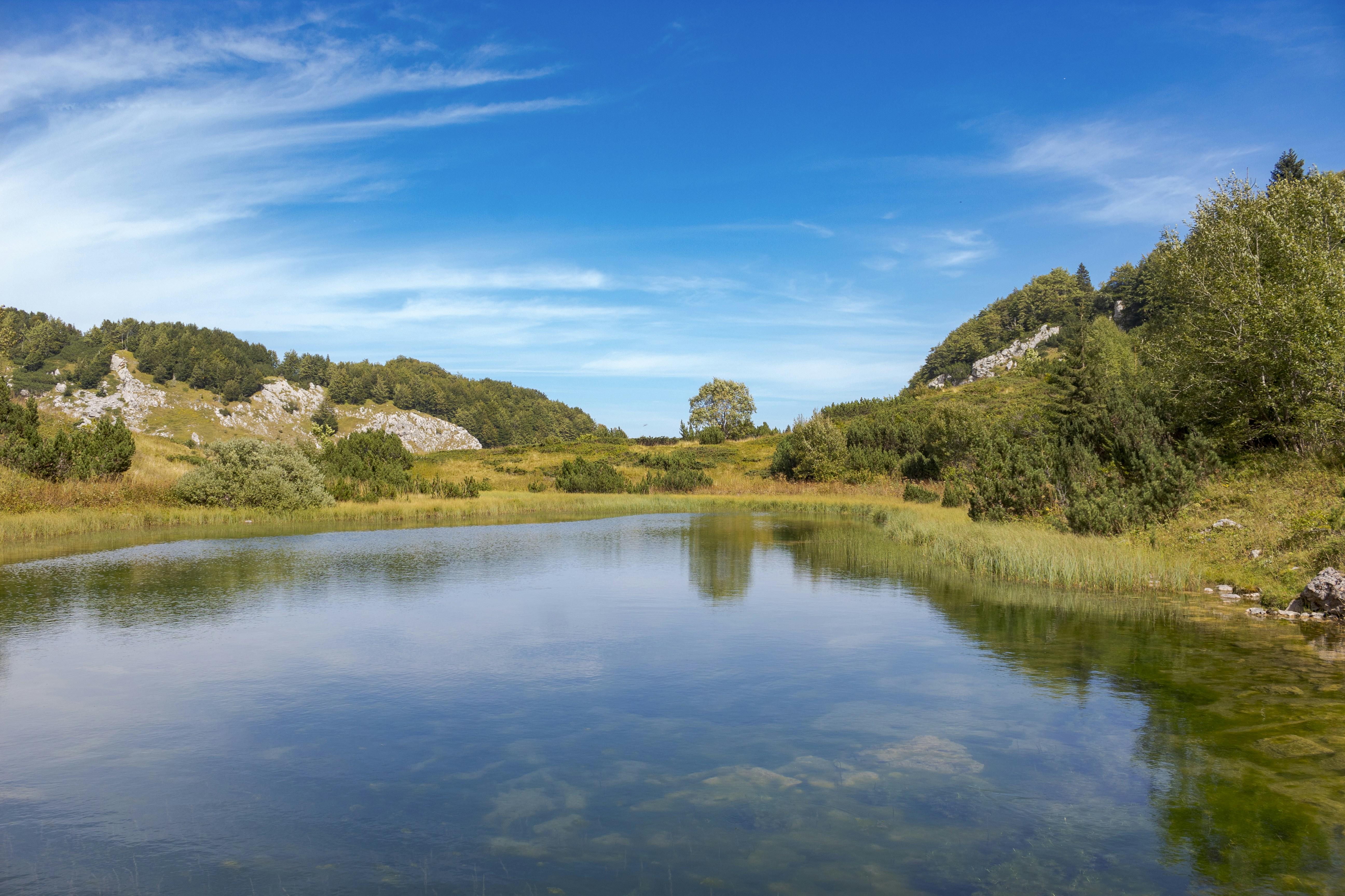 Photo by sporisevicphotography