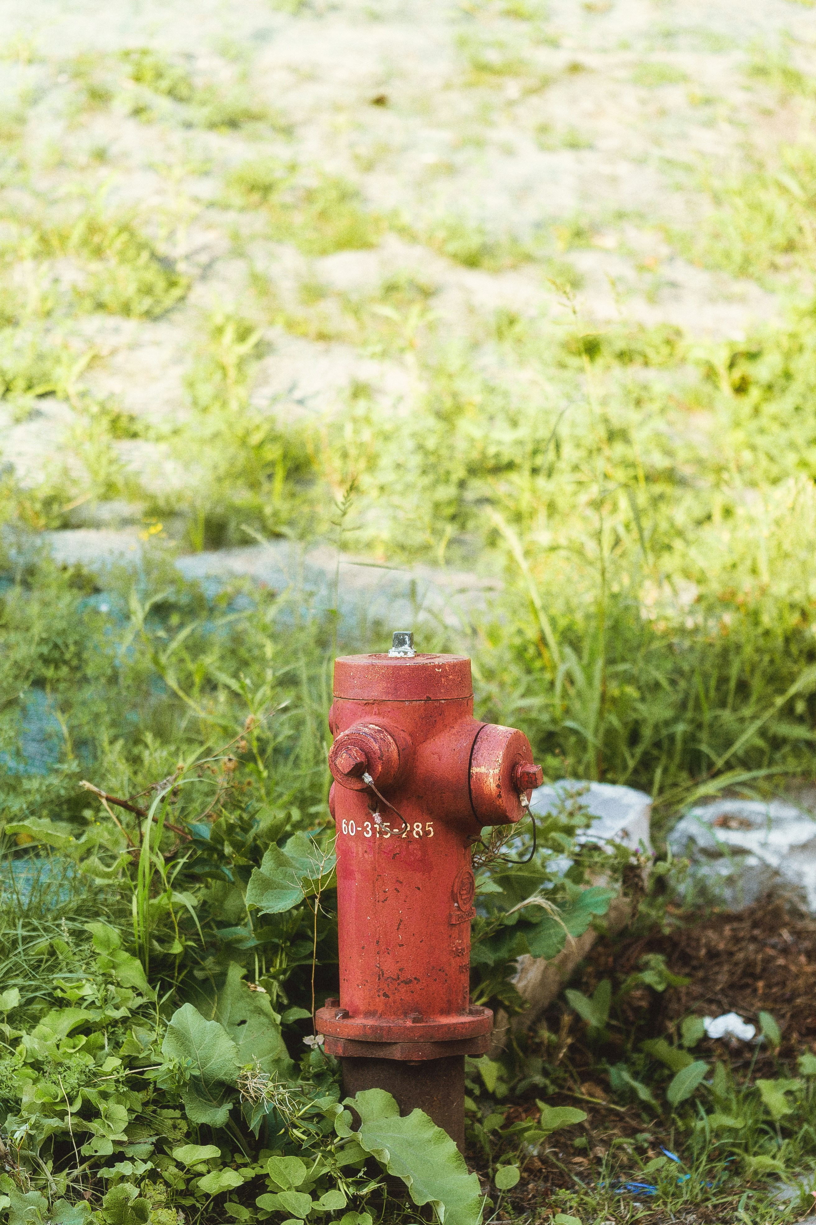 A red fire hydrant sitting in the middle of a field