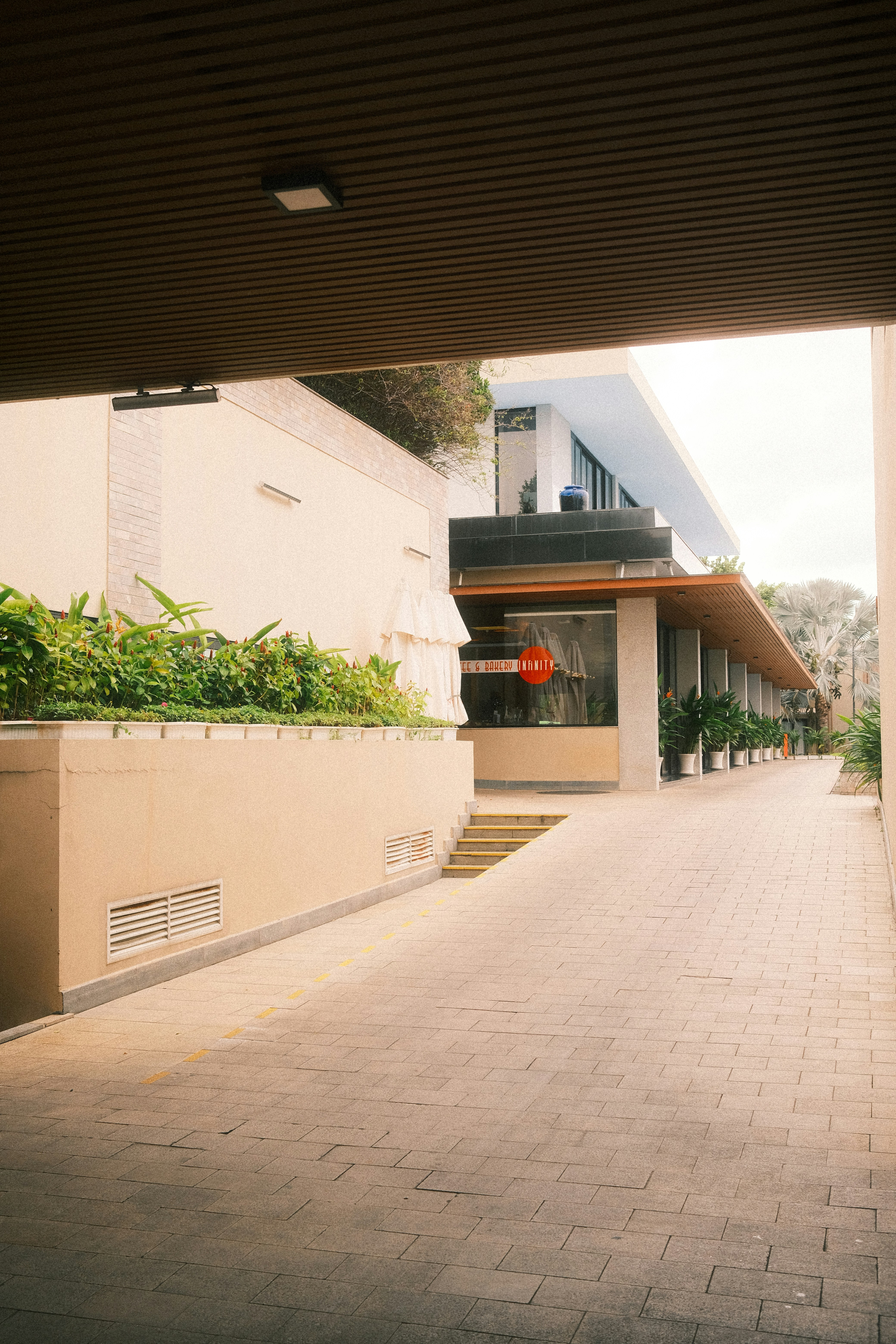 Photo by trancuongvt