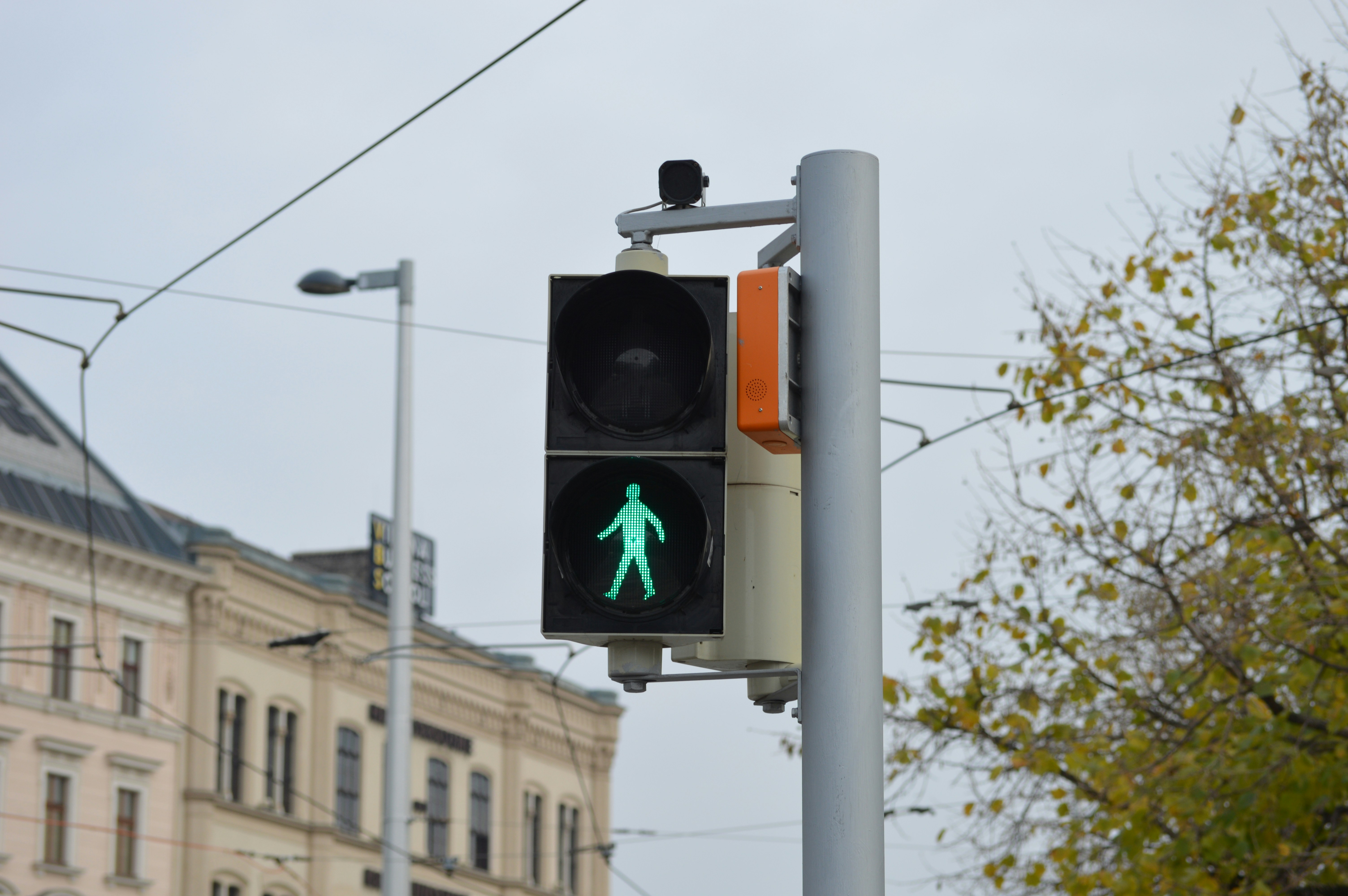 Walk/Don't Walk traffic signal - florida pedestrian accident