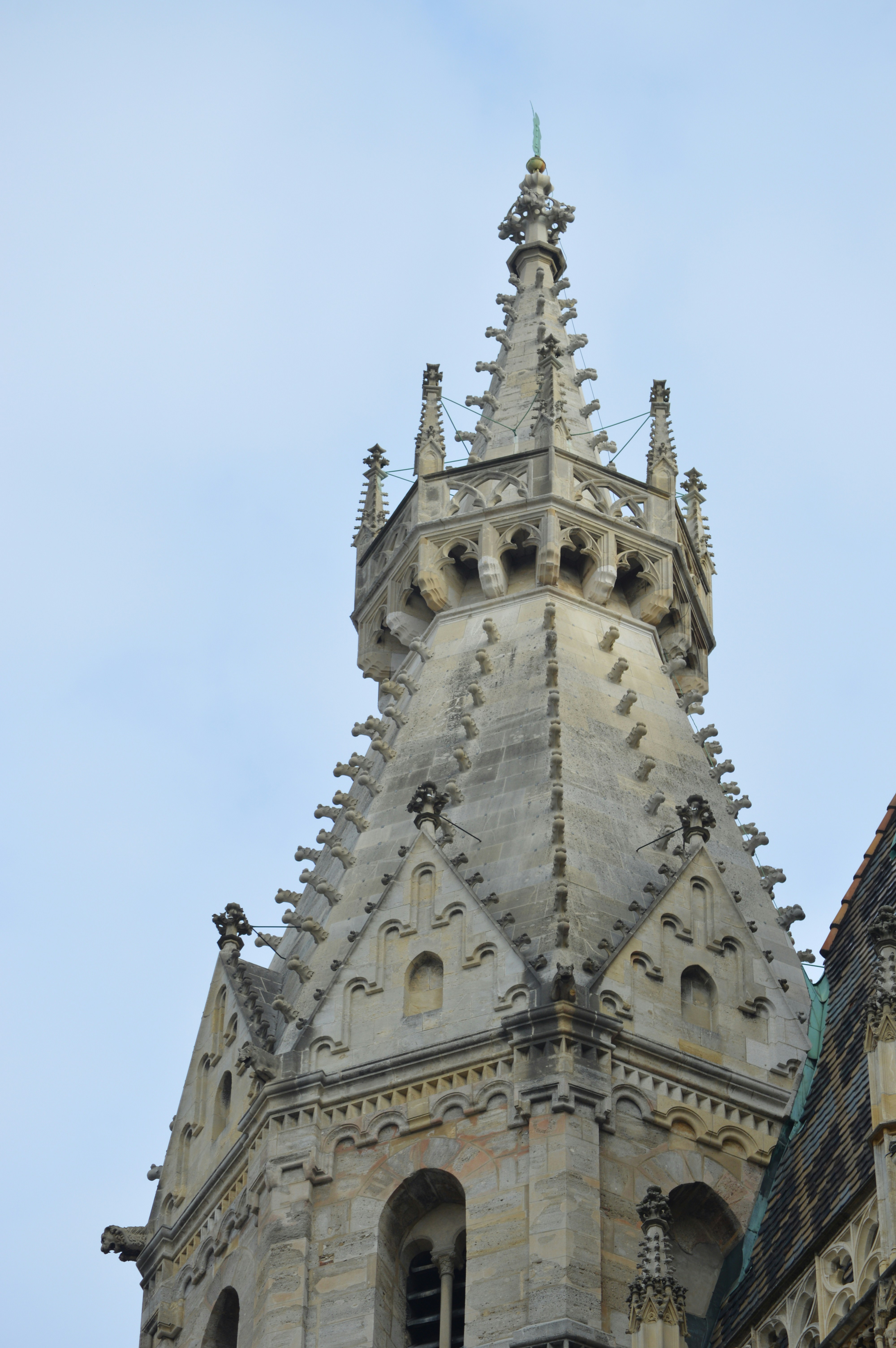 Photo by joshimilestoner