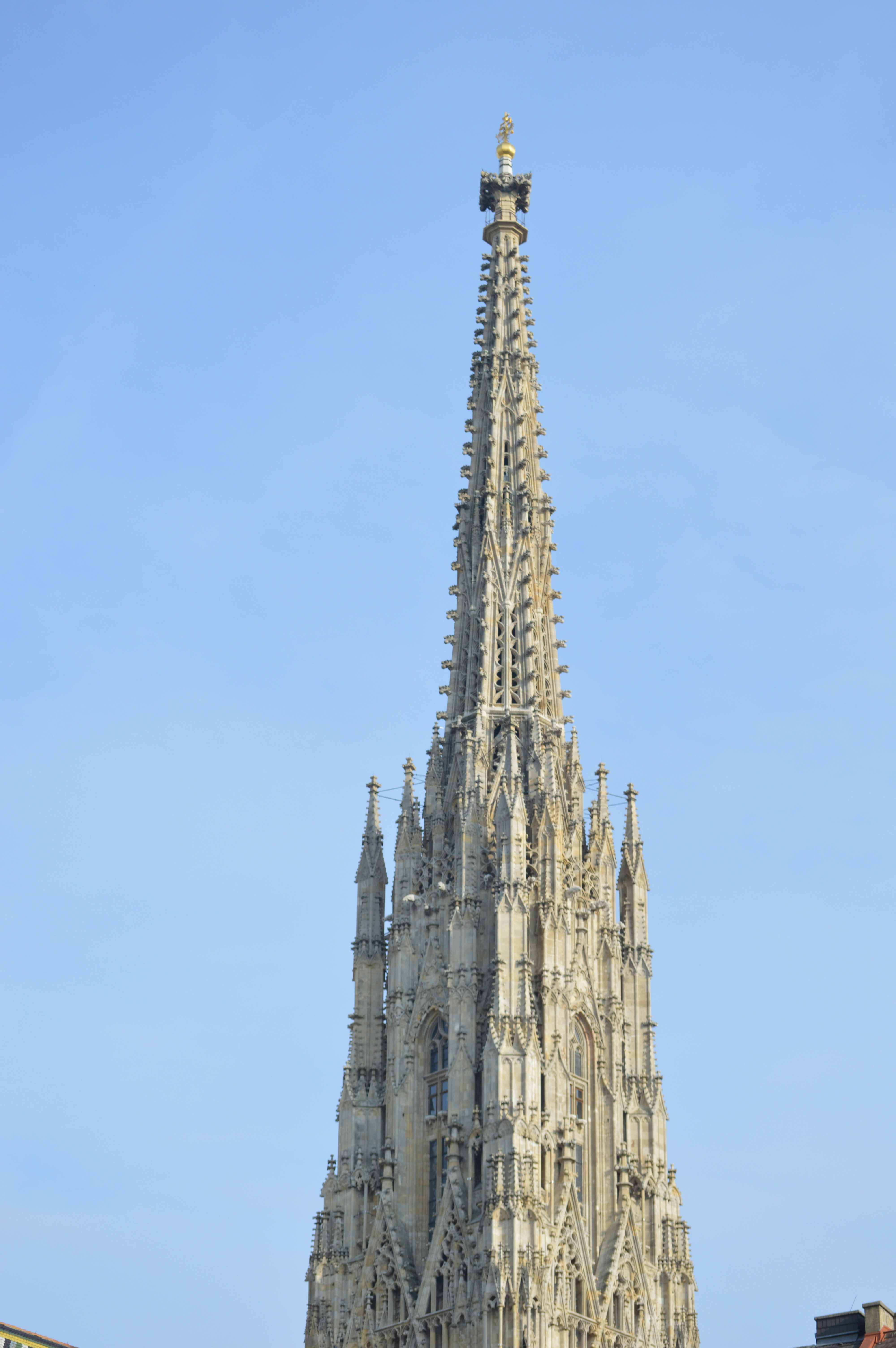 Photo by joshimilestoner