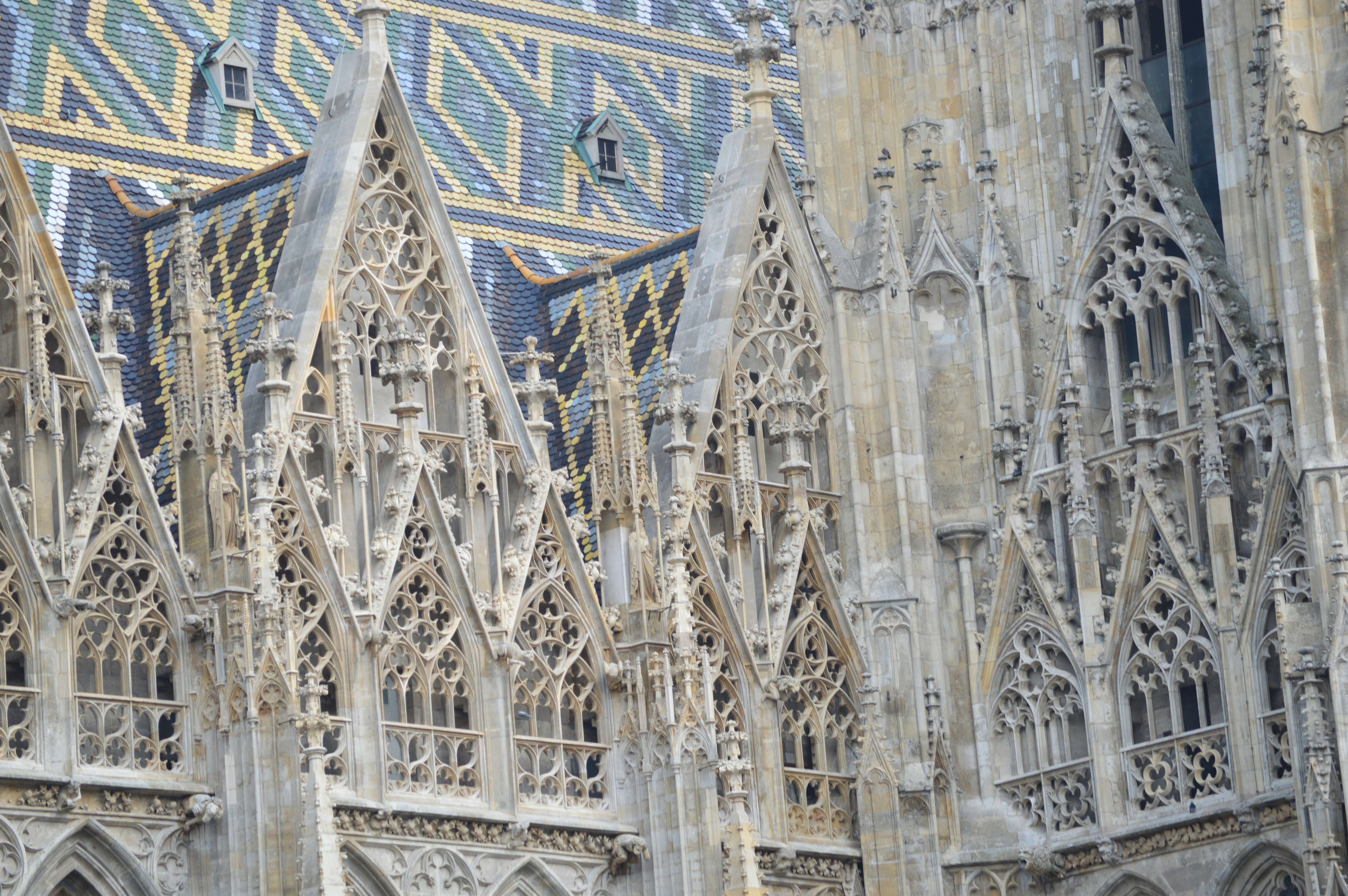 Photo by joshimilestoner