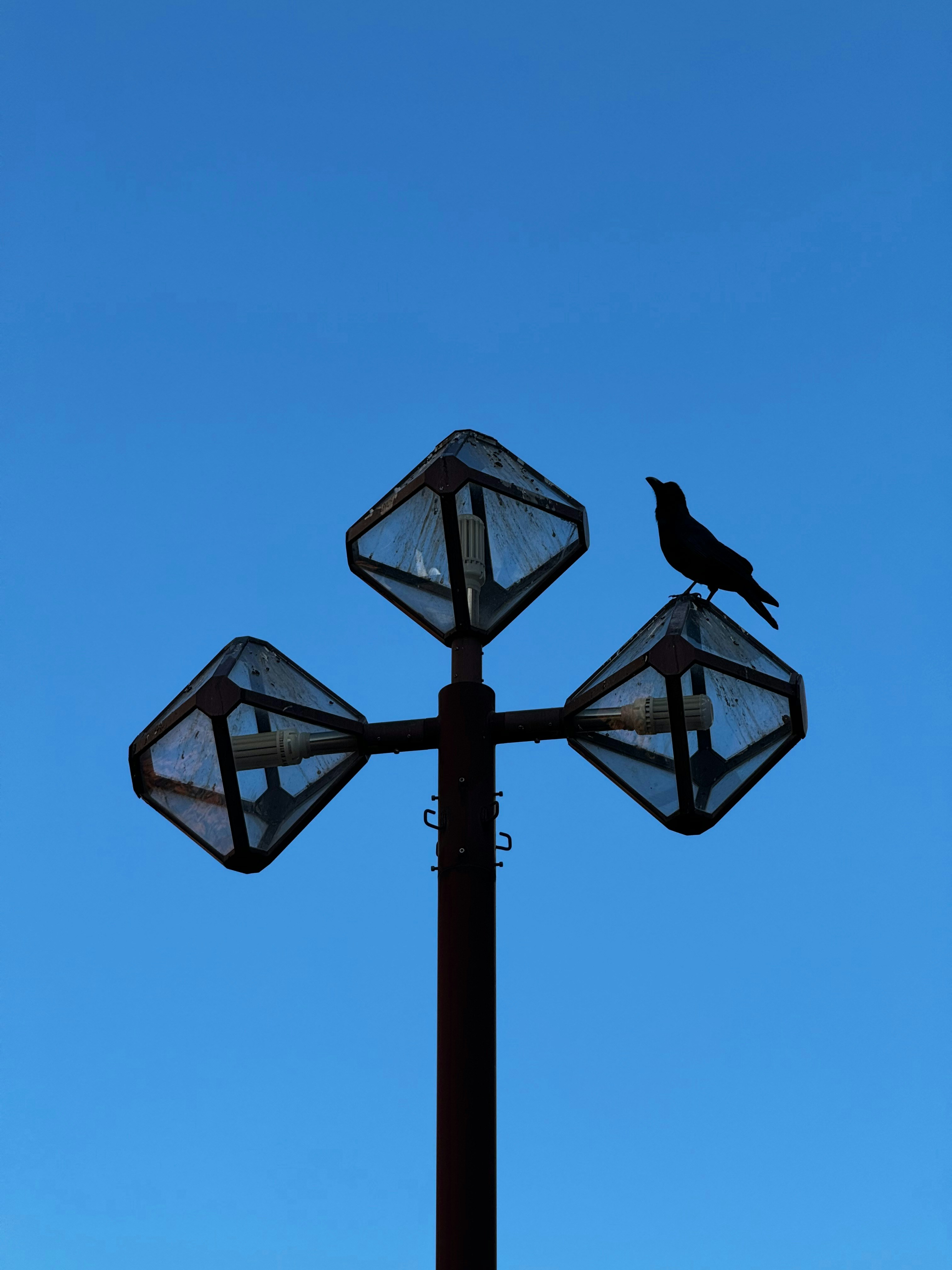 Photo by dynamicwang