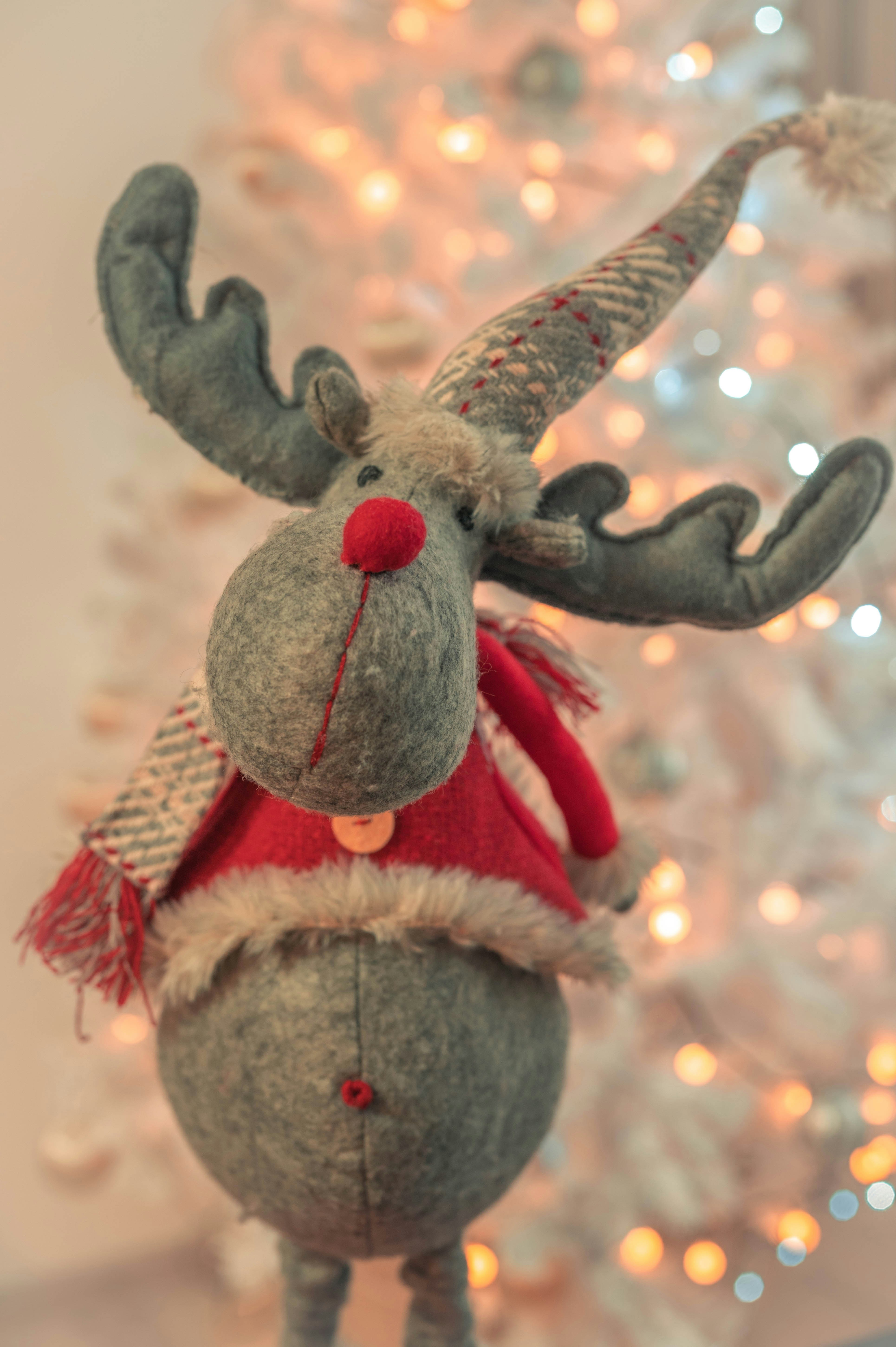 Photo by lacostercell