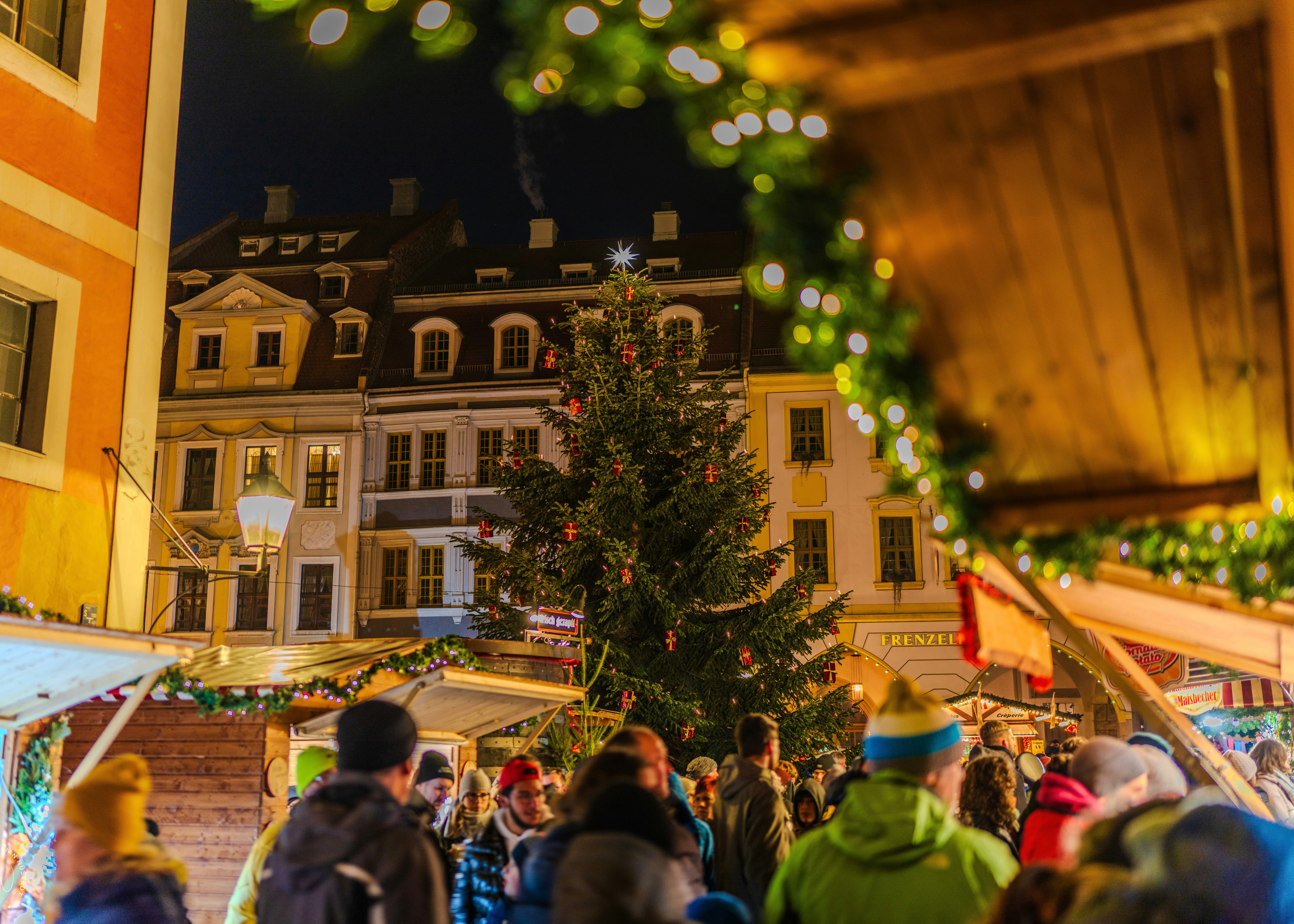 Photo by dmaxsilencer