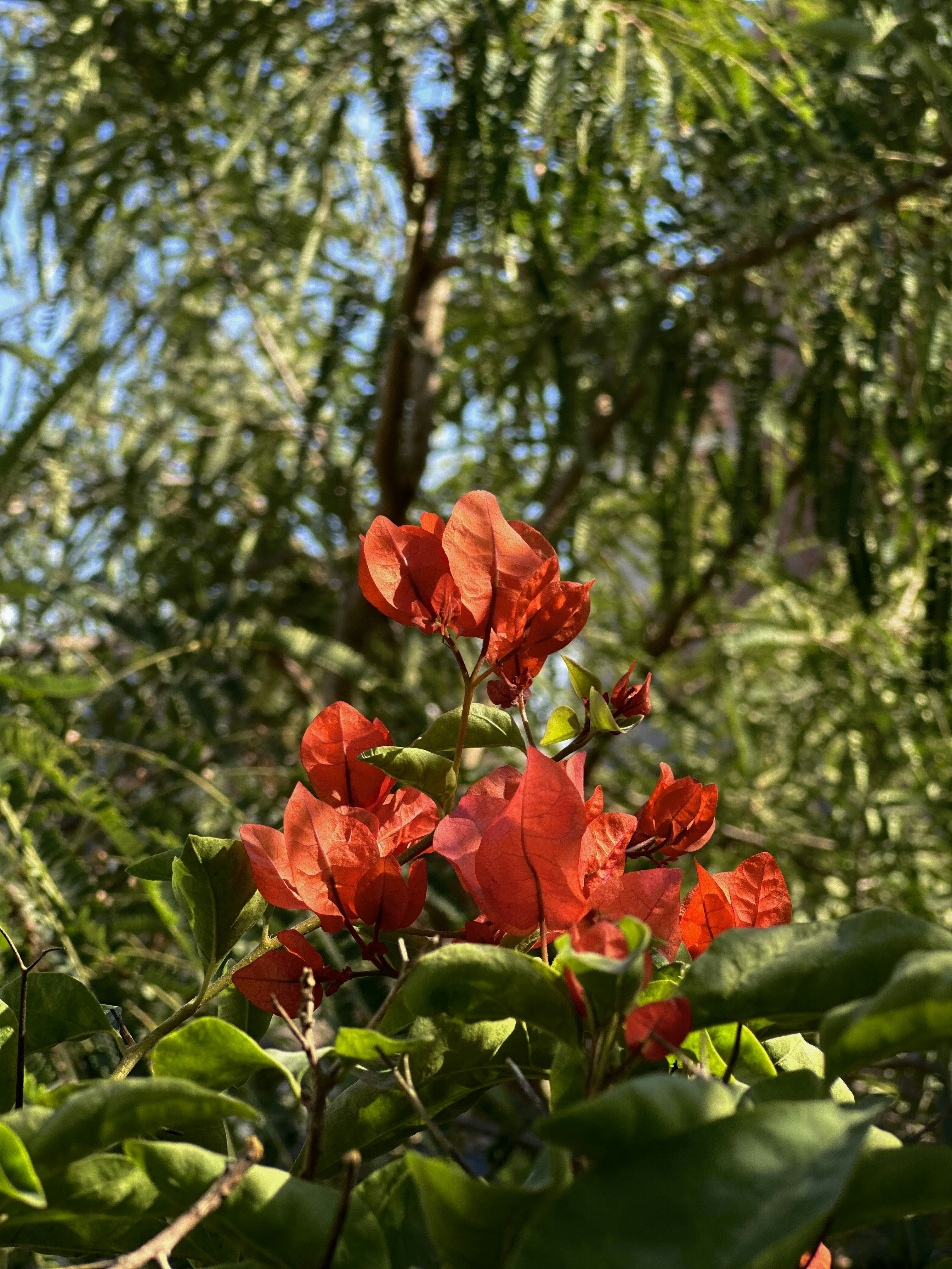 Photo by neelakshi_singh_