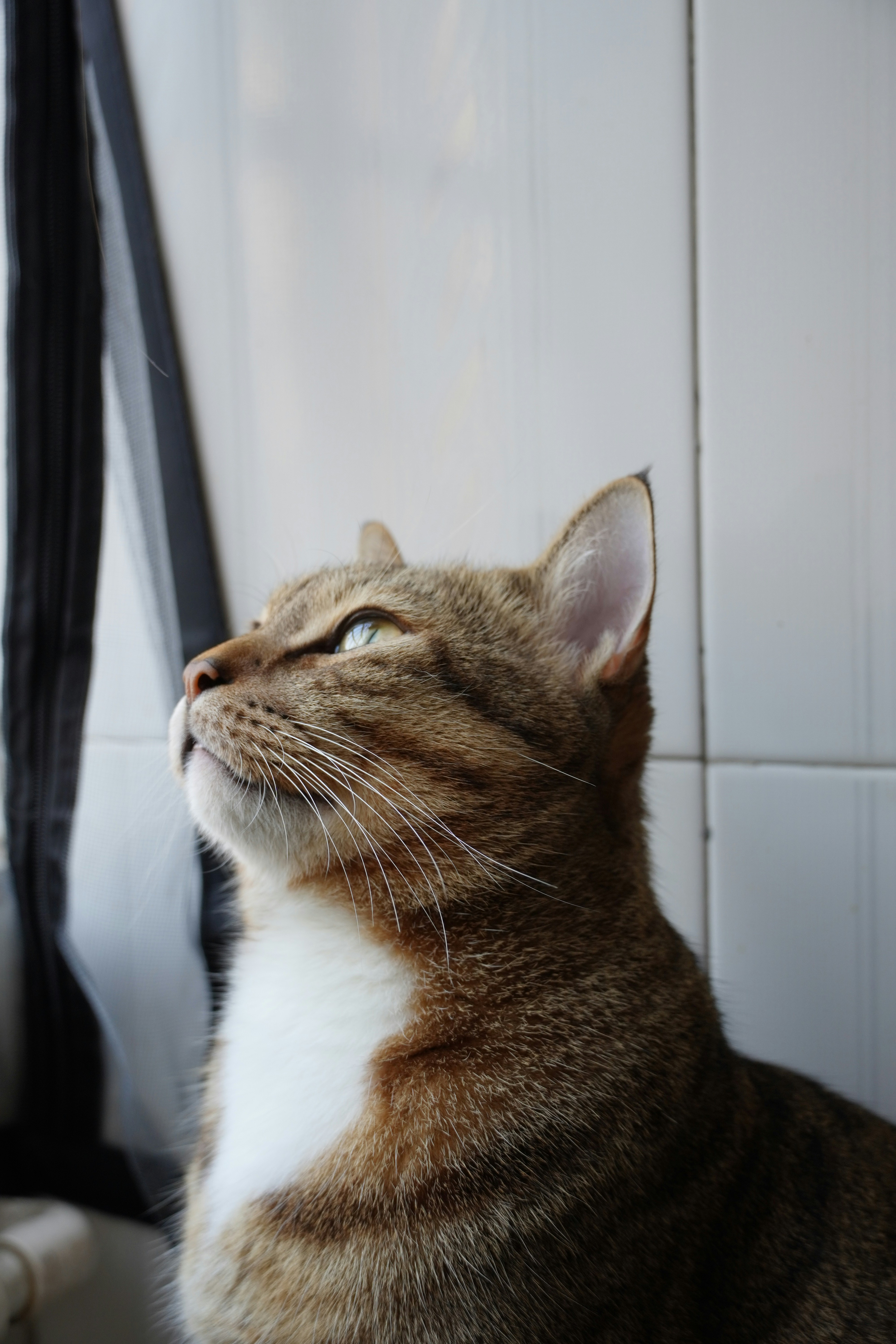 Photo by bubblyslayer