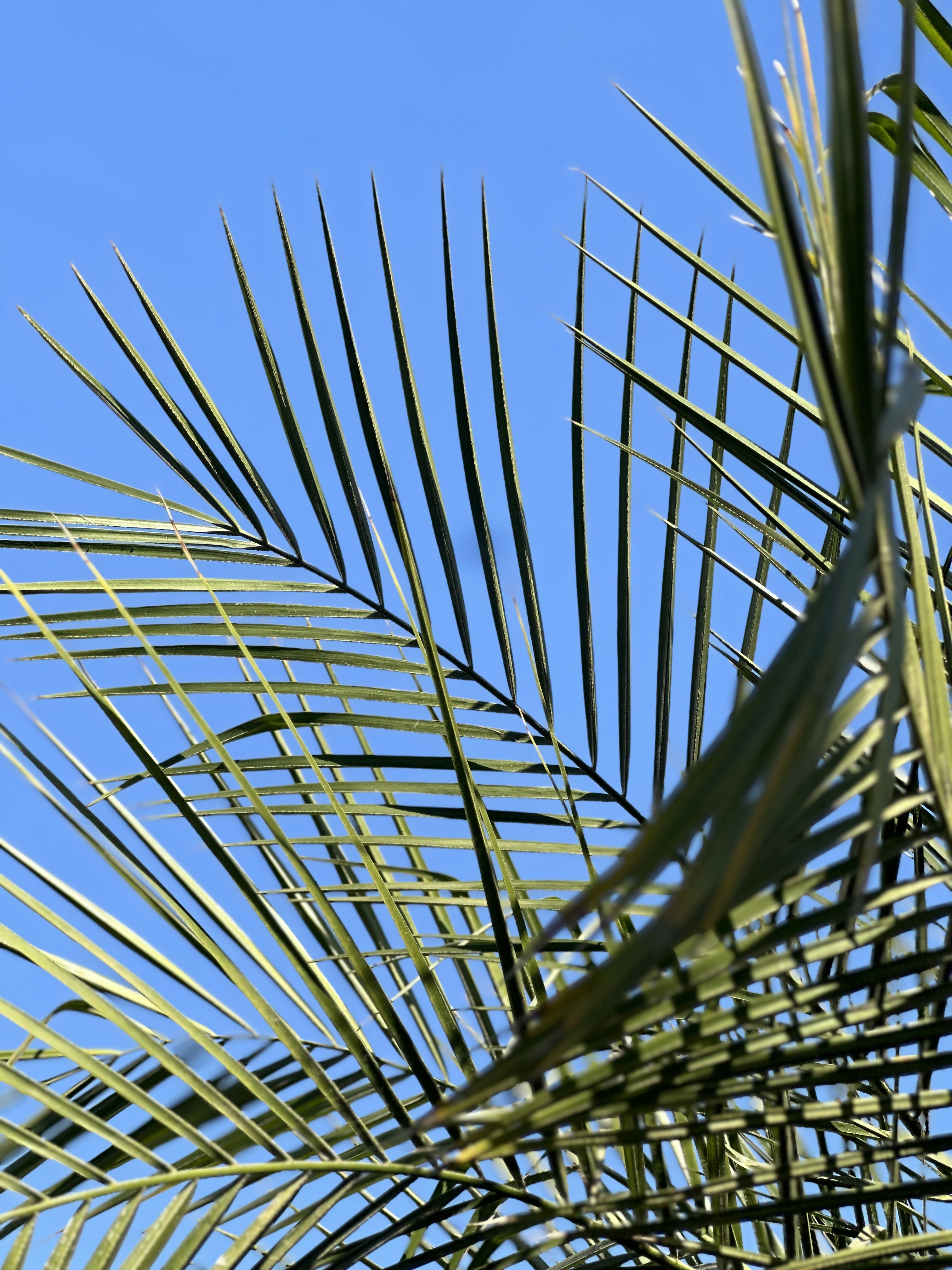 Photo by neelakshi_singh_