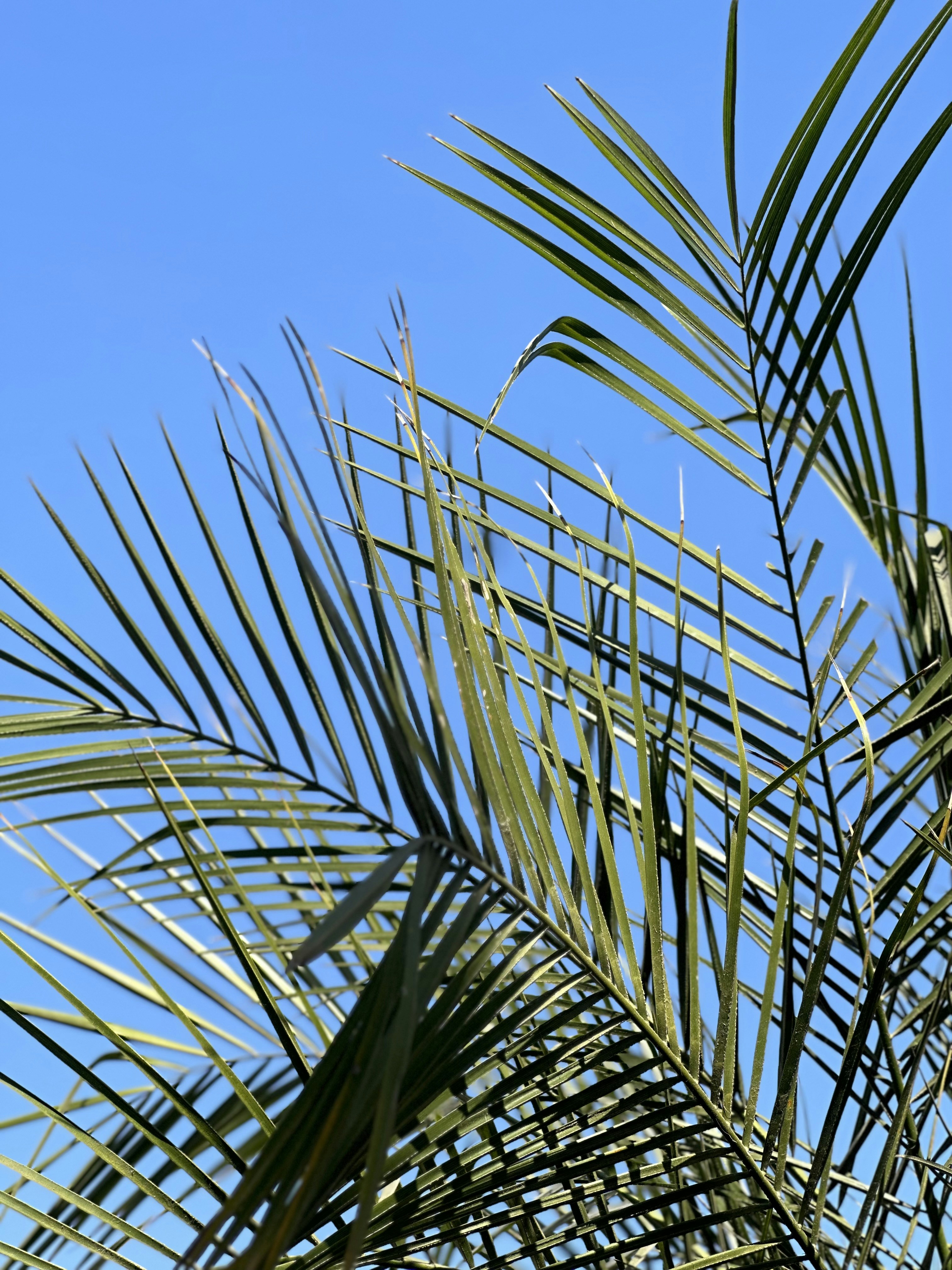 Photo by neelakshi_singh_