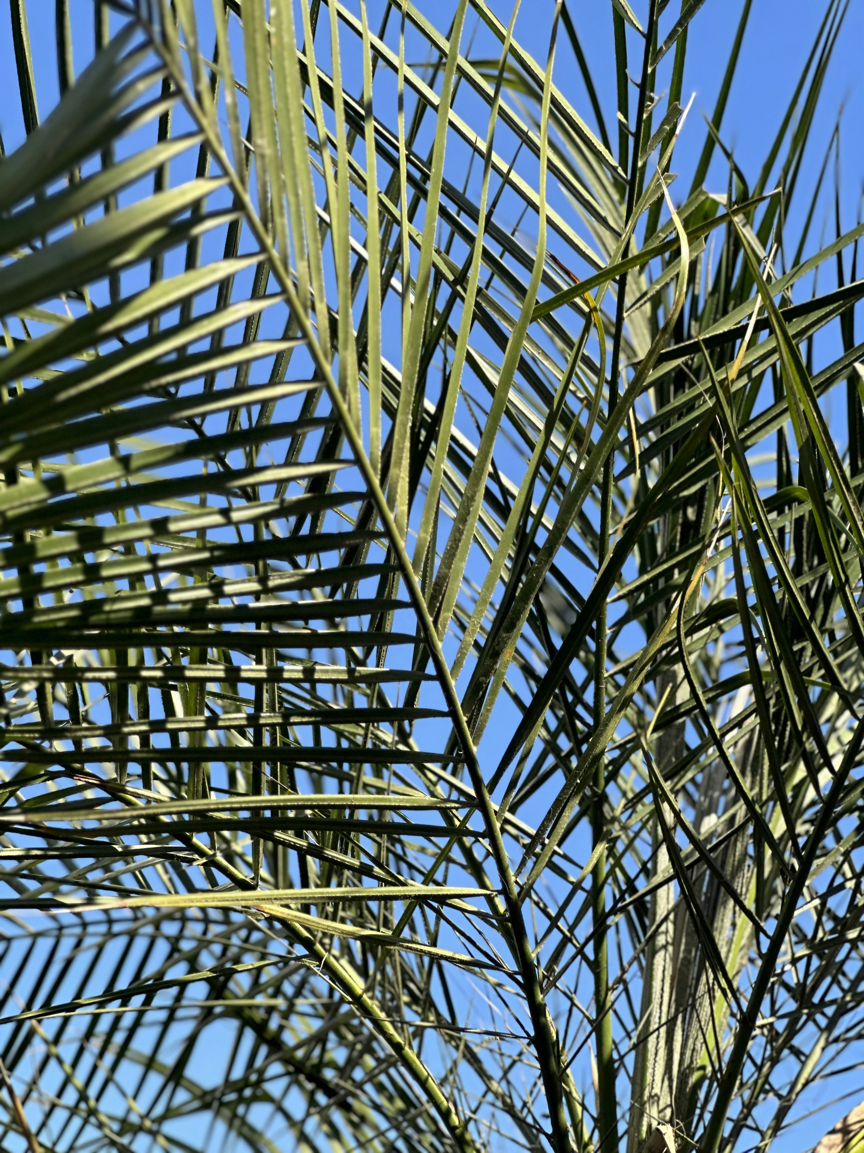 Photo by neelakshi_singh_