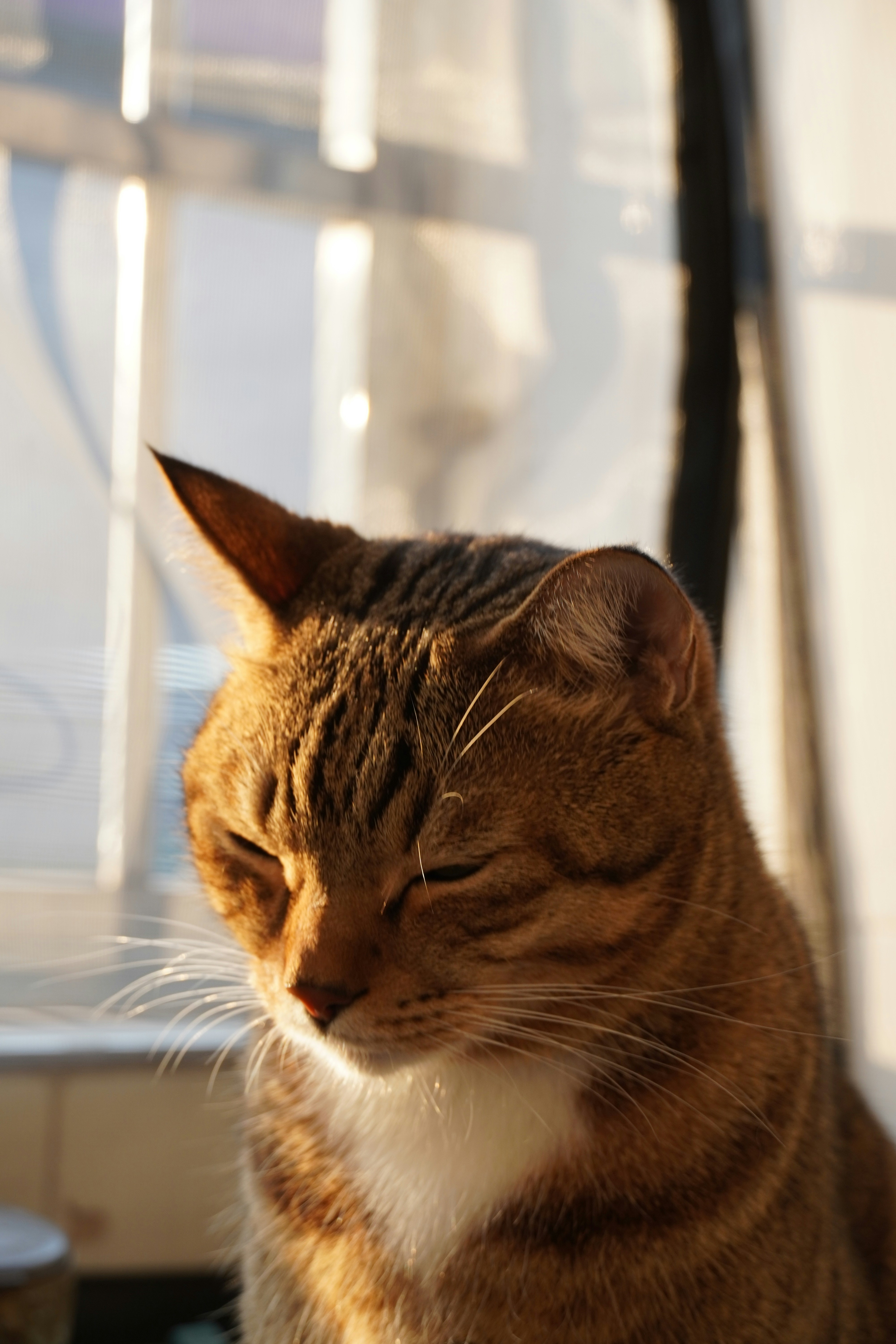 Photo by bubblyslayer