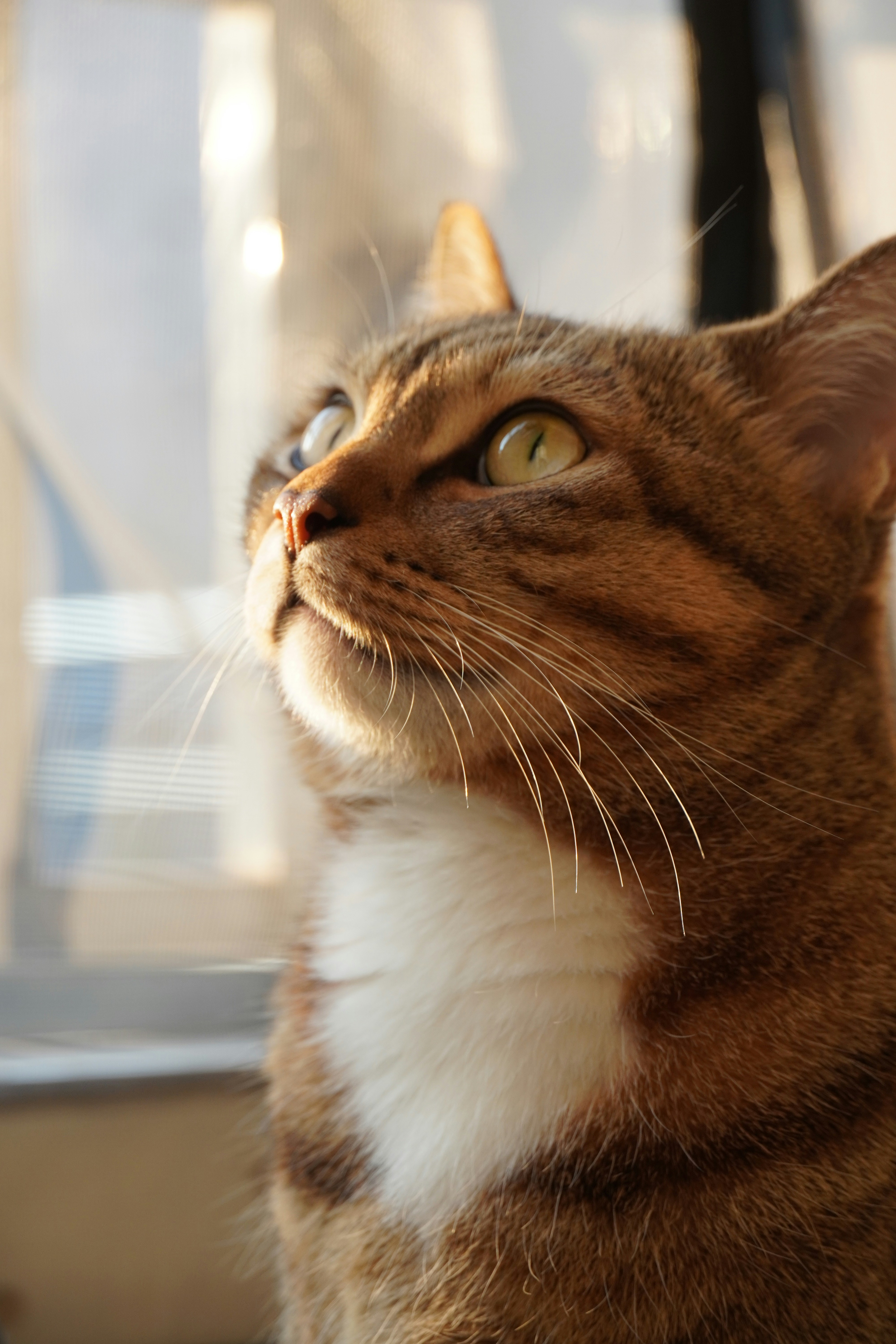 Photo by bubblyslayer