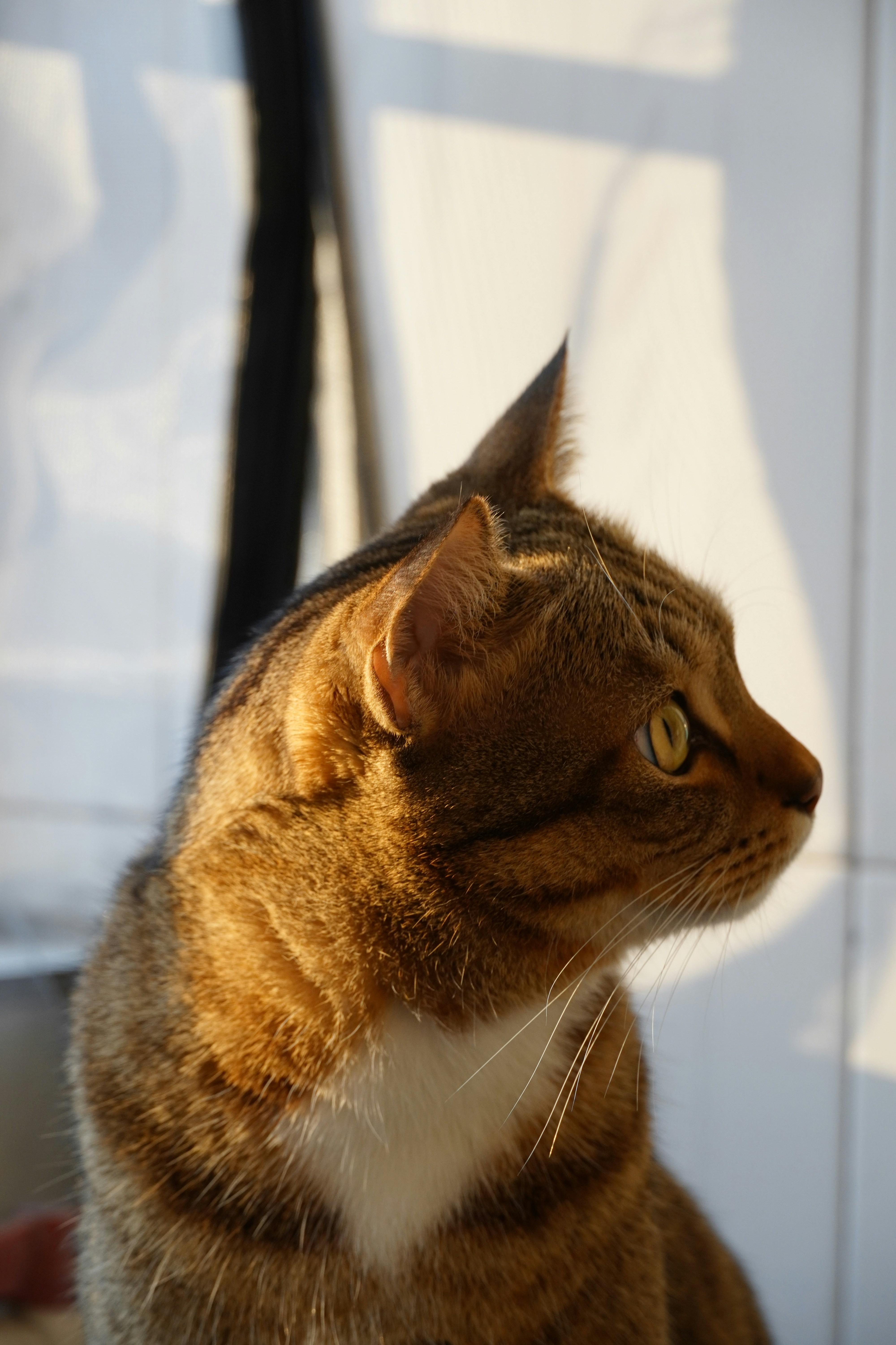 Photo by bubblyslayer