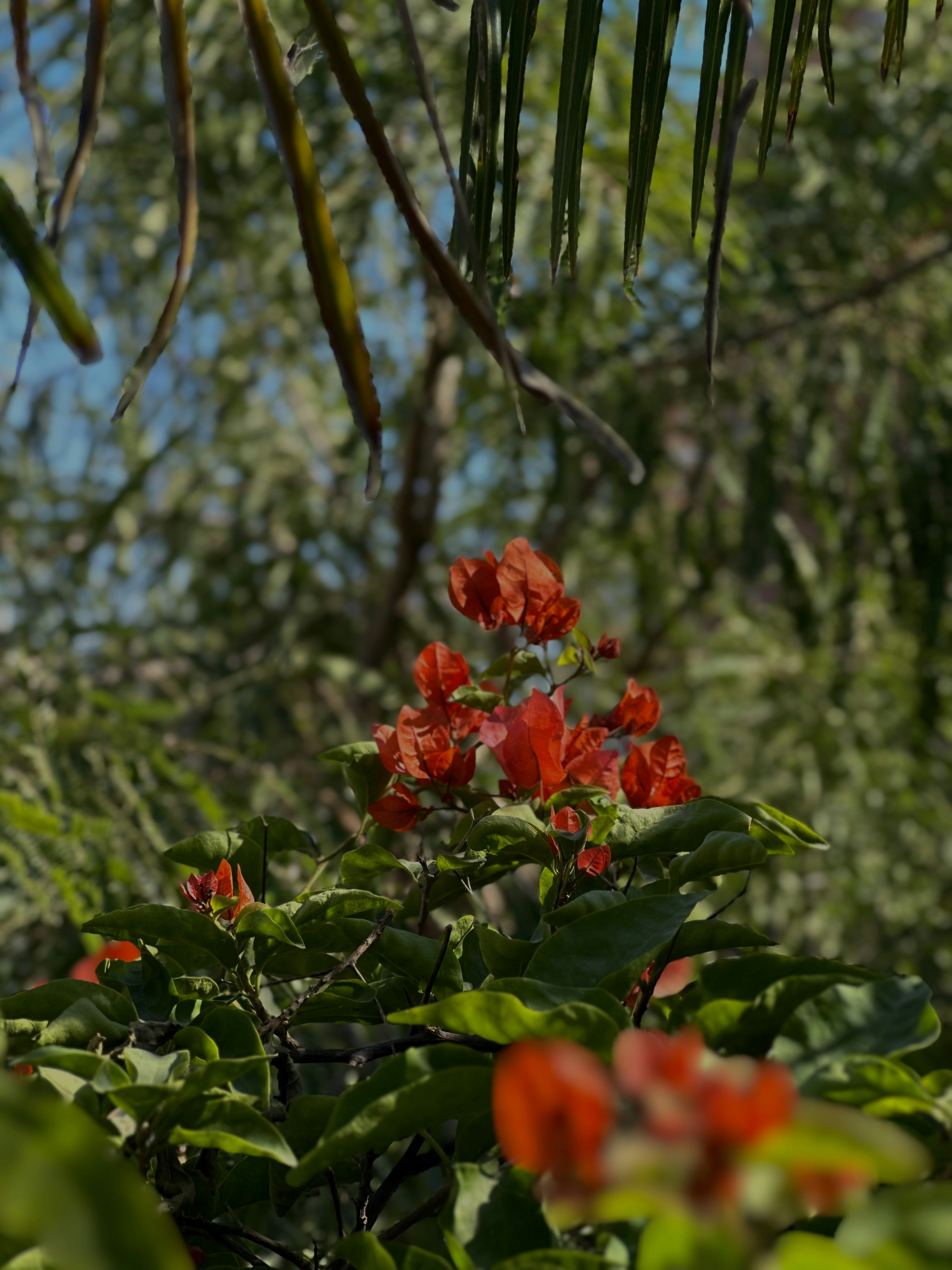 Photo by neelakshi_singh_