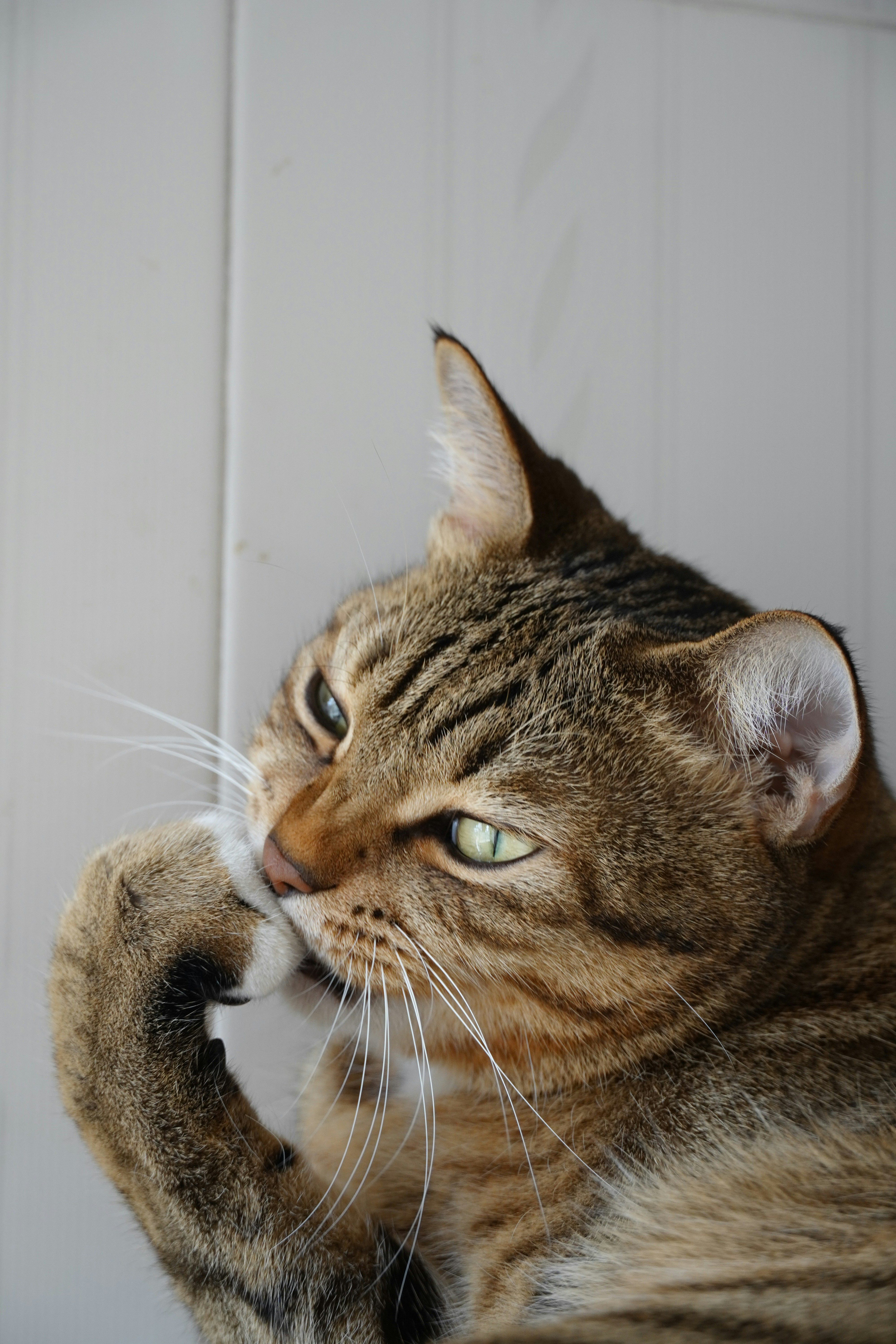 Photo by bubblyslayer