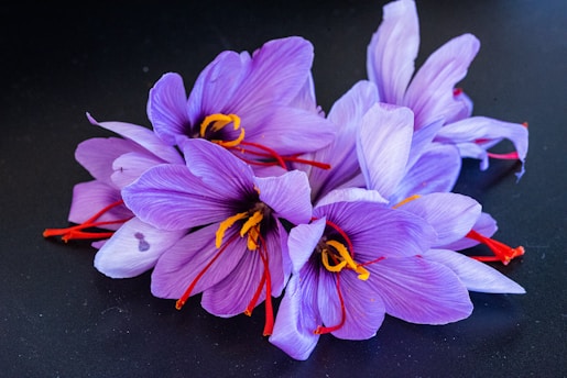 A bunch of purple flowers sitting on top of a table