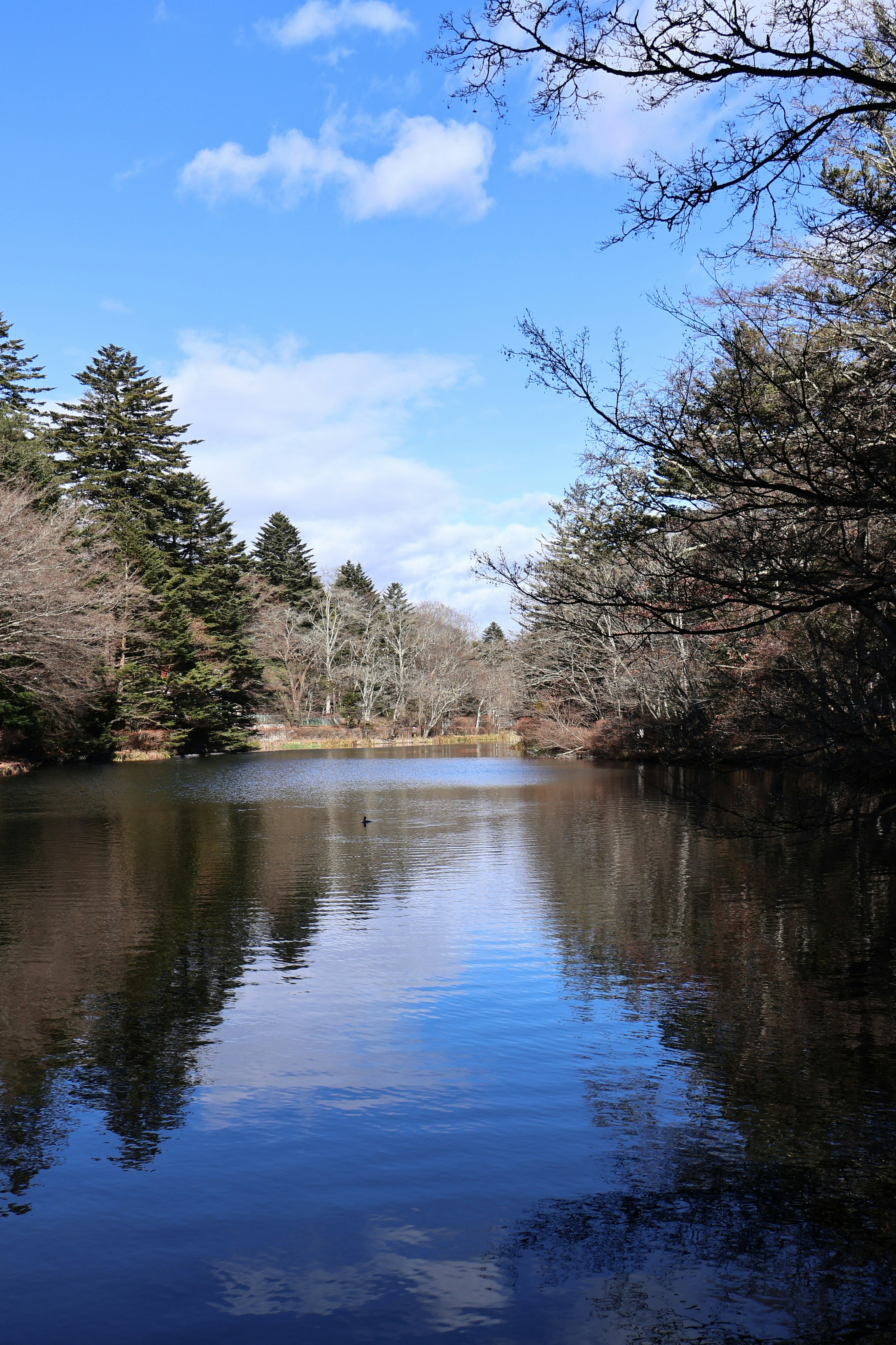 Kumoba Pond in Karuizawa