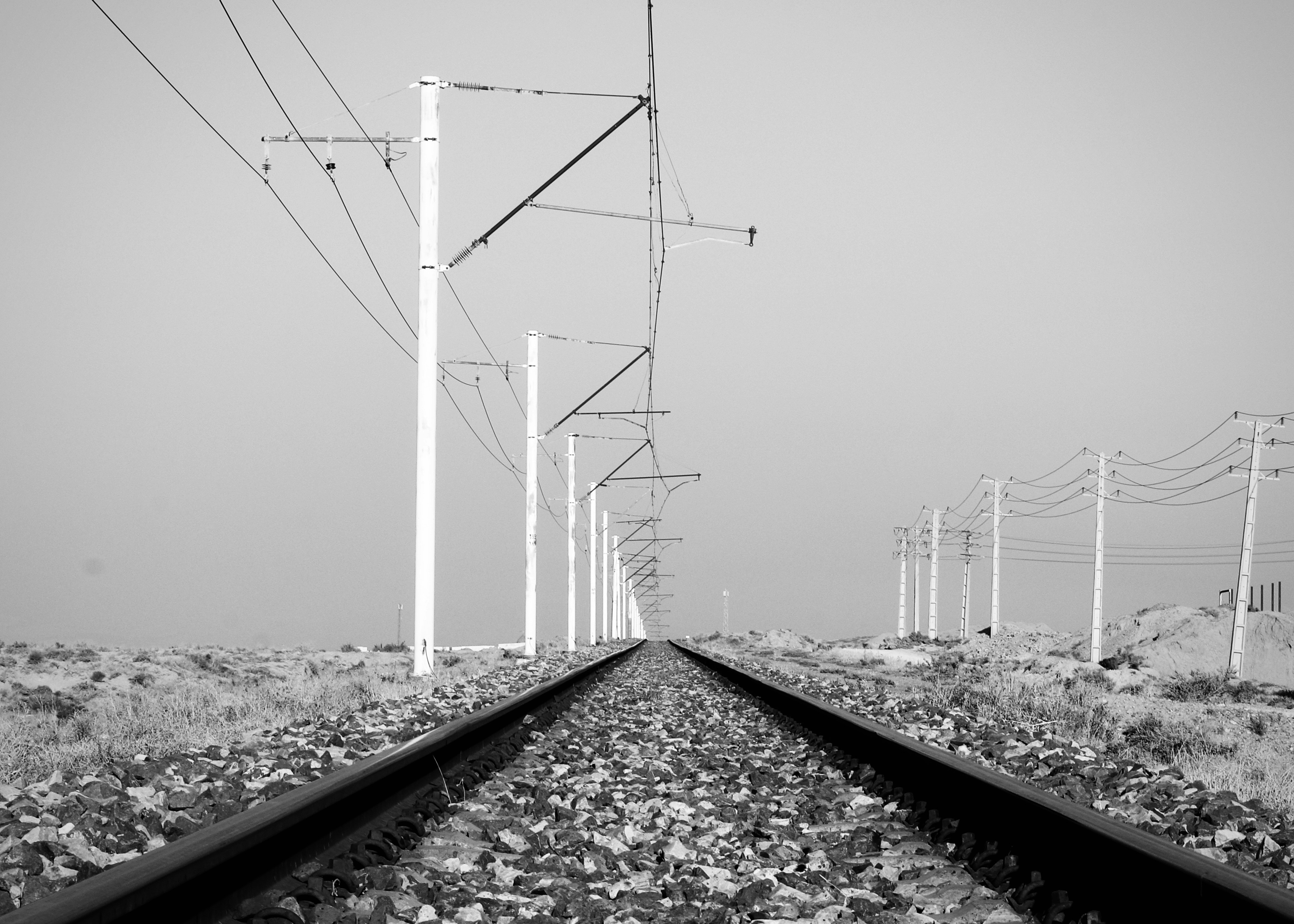 Photo by sevda_afshar