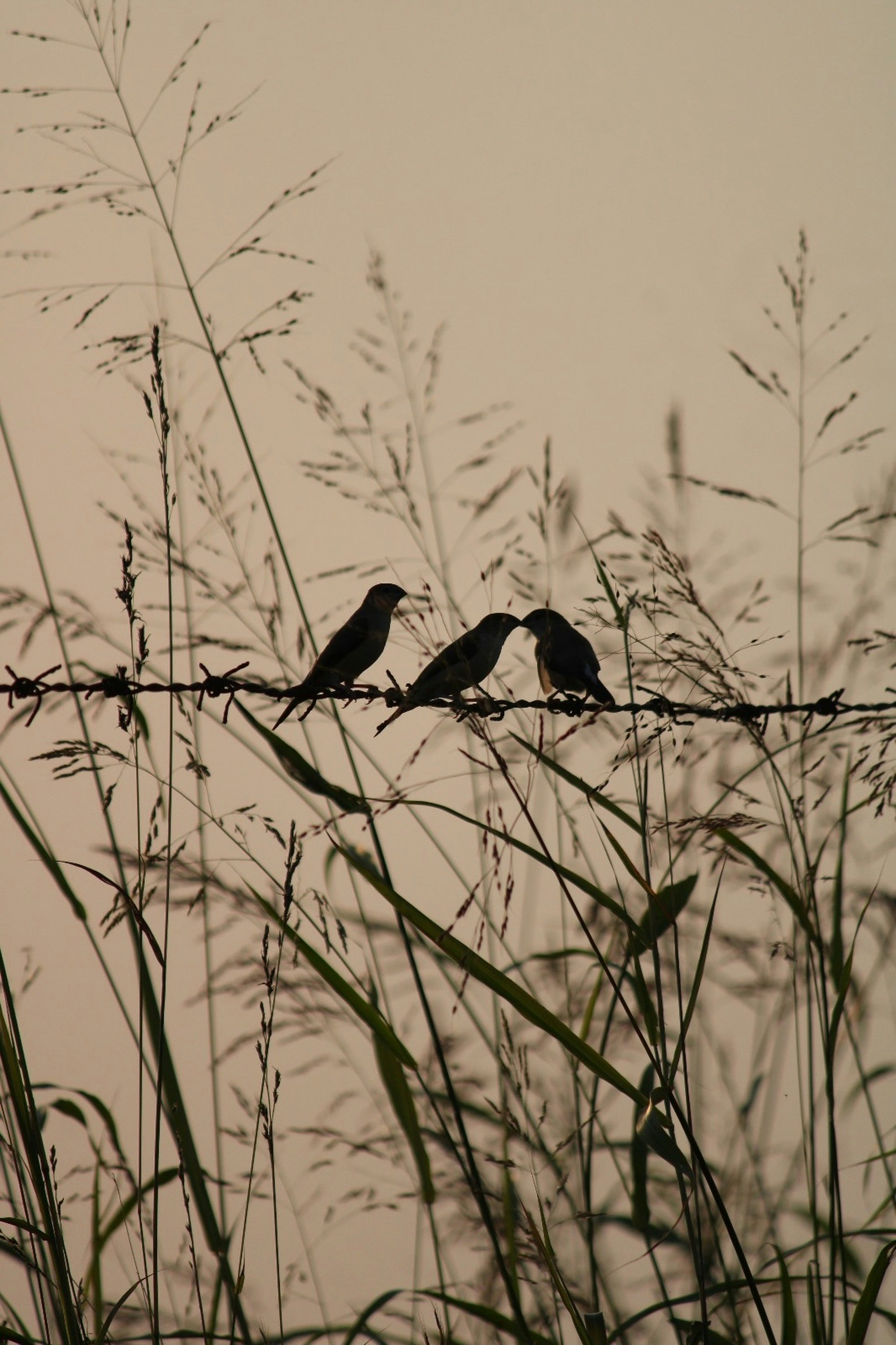 Photo by arjun_01
