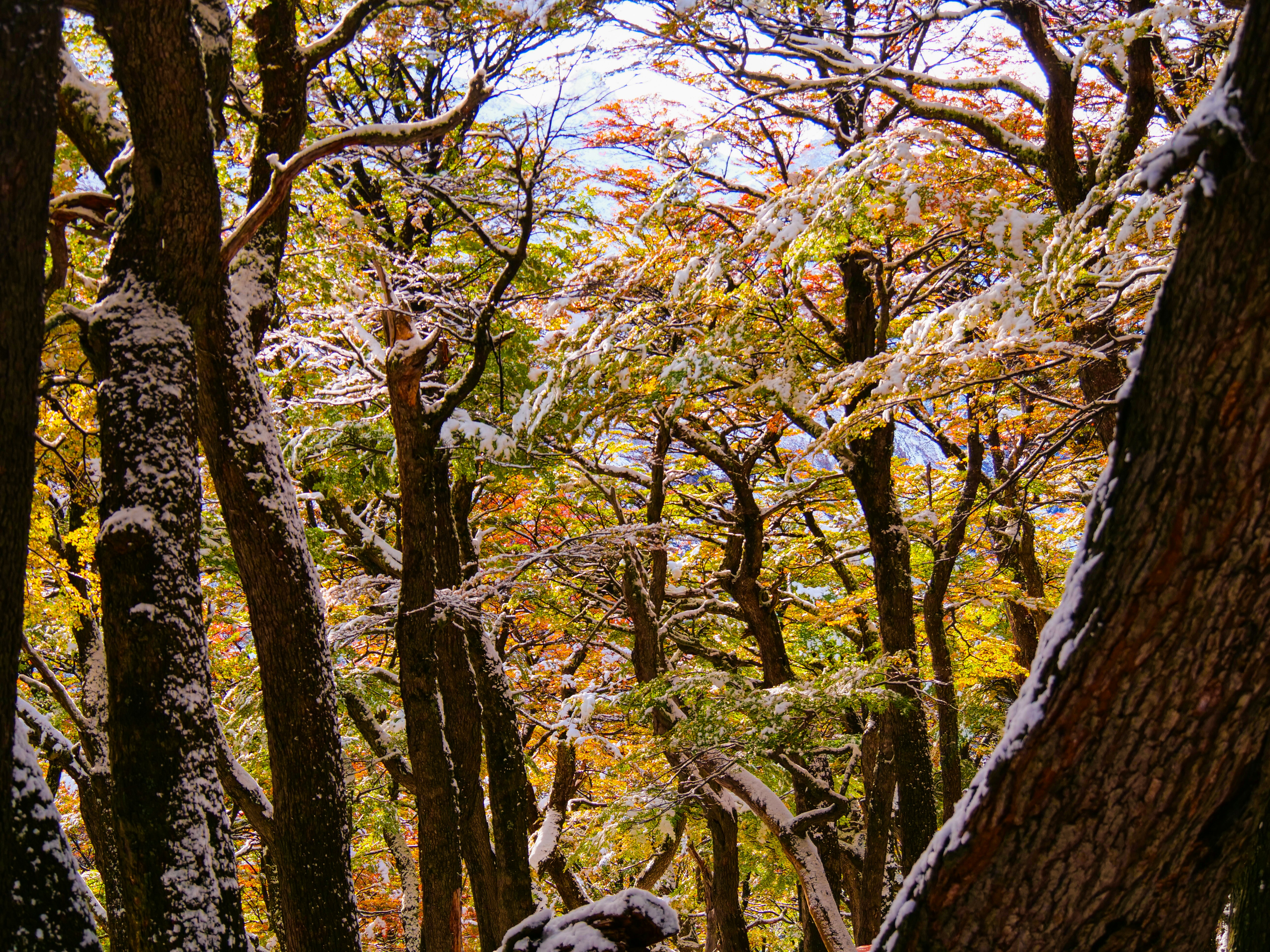 Photo by florian_delee