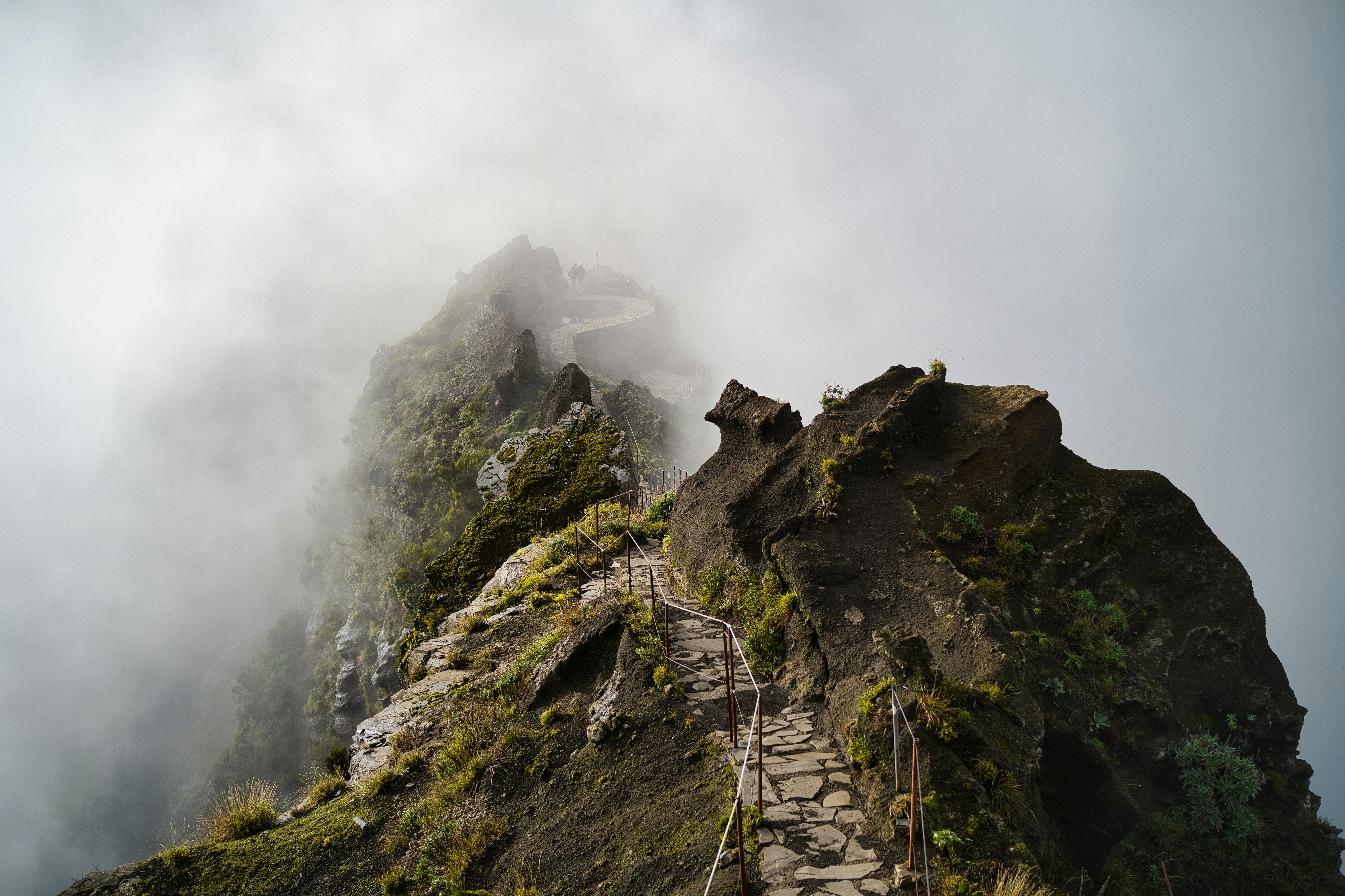 Photo by maksimshutov