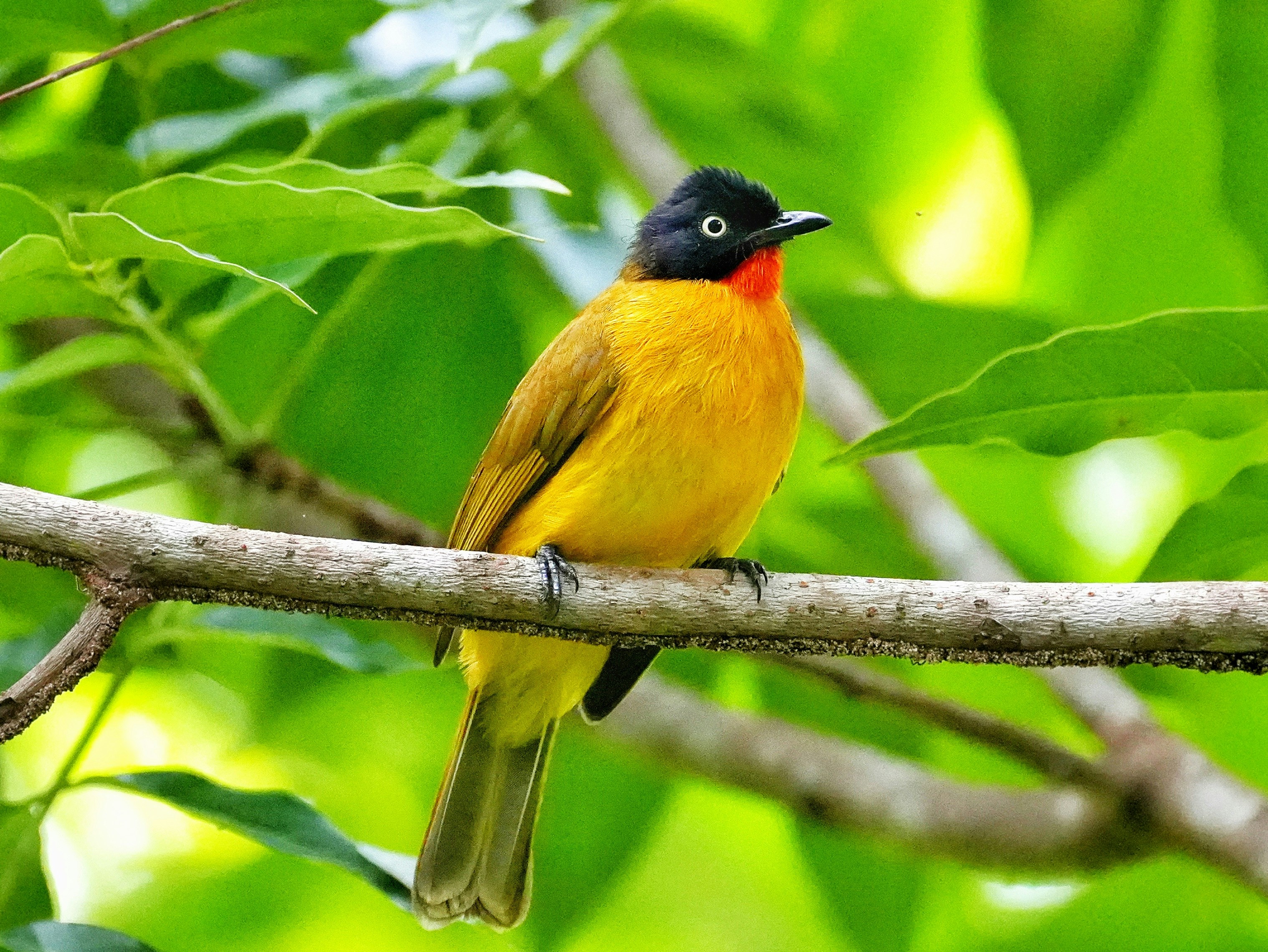 Photo by shijinkamalon