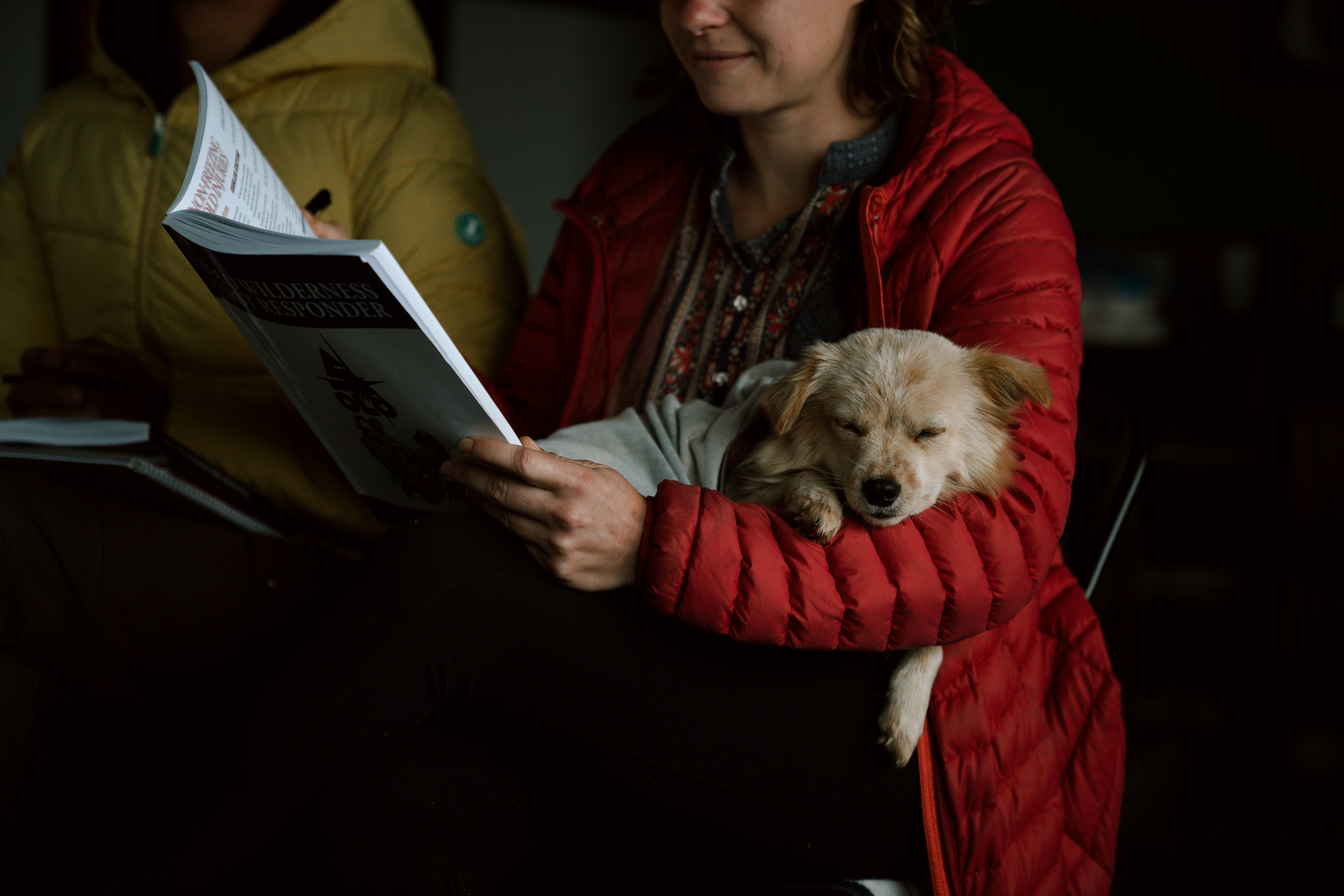 Do Pets Sense Human Emotion? Understanding Empathy in Animals