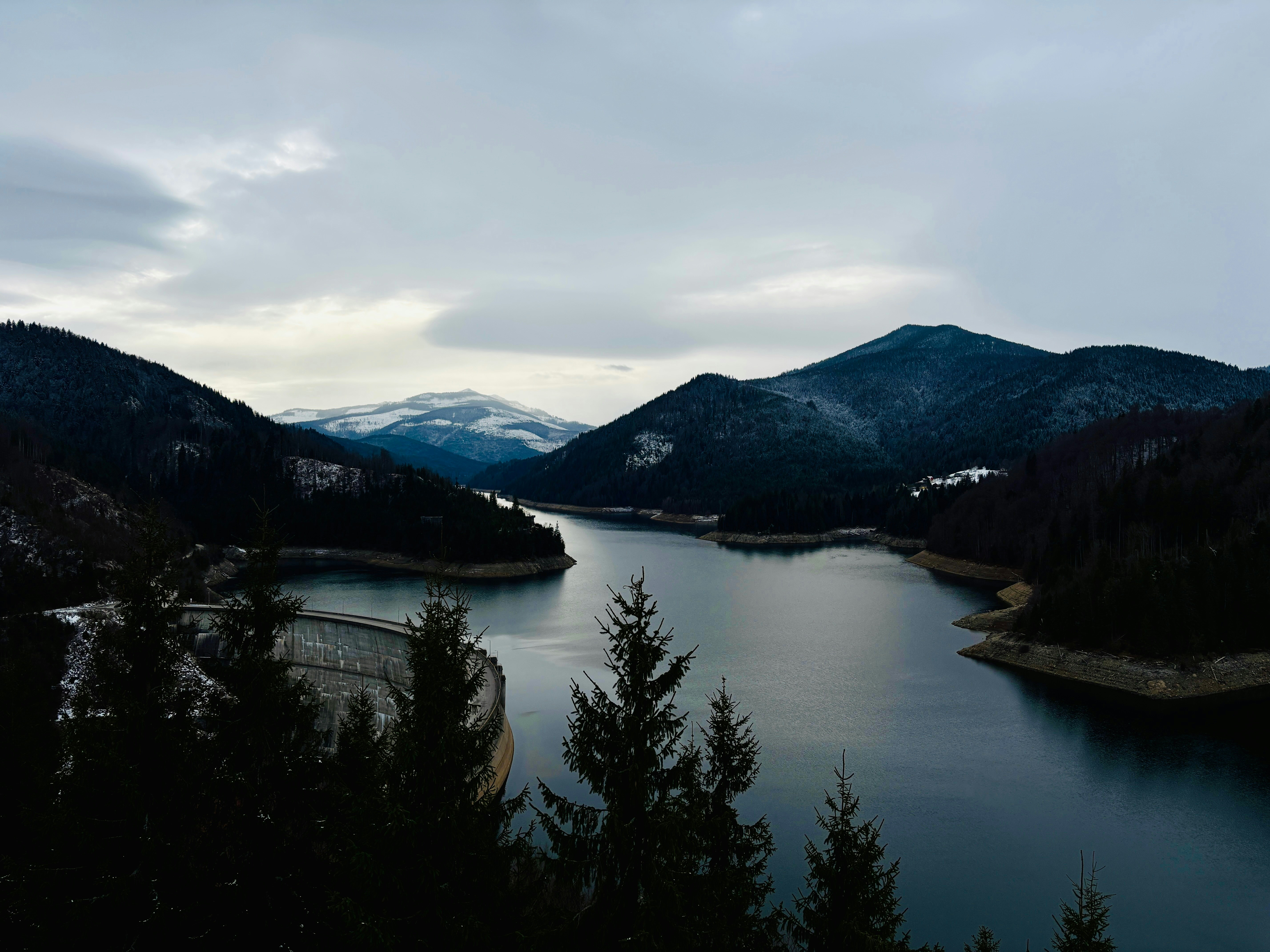 Photo by trandafir93