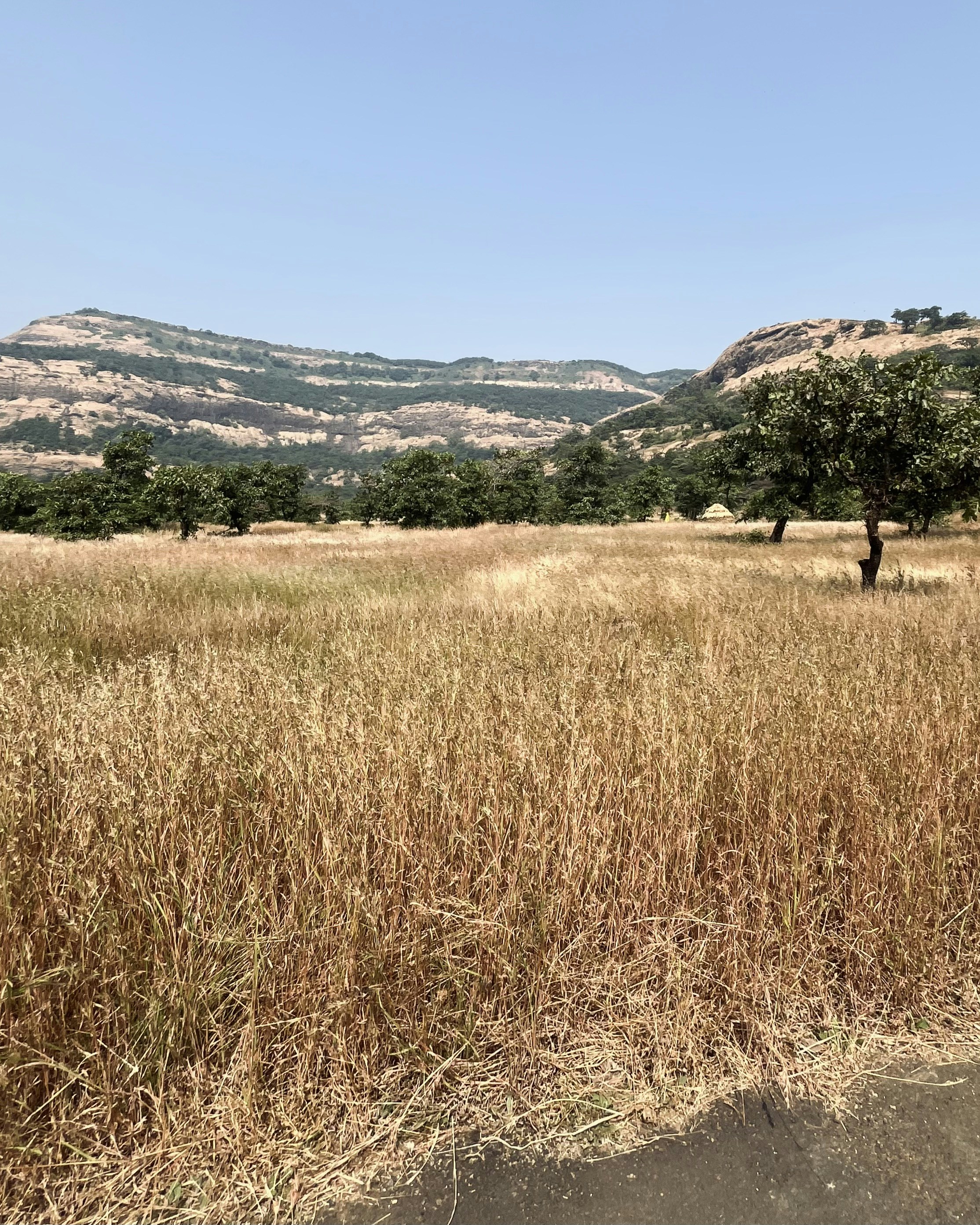 Photo by Vishwasa Navada K