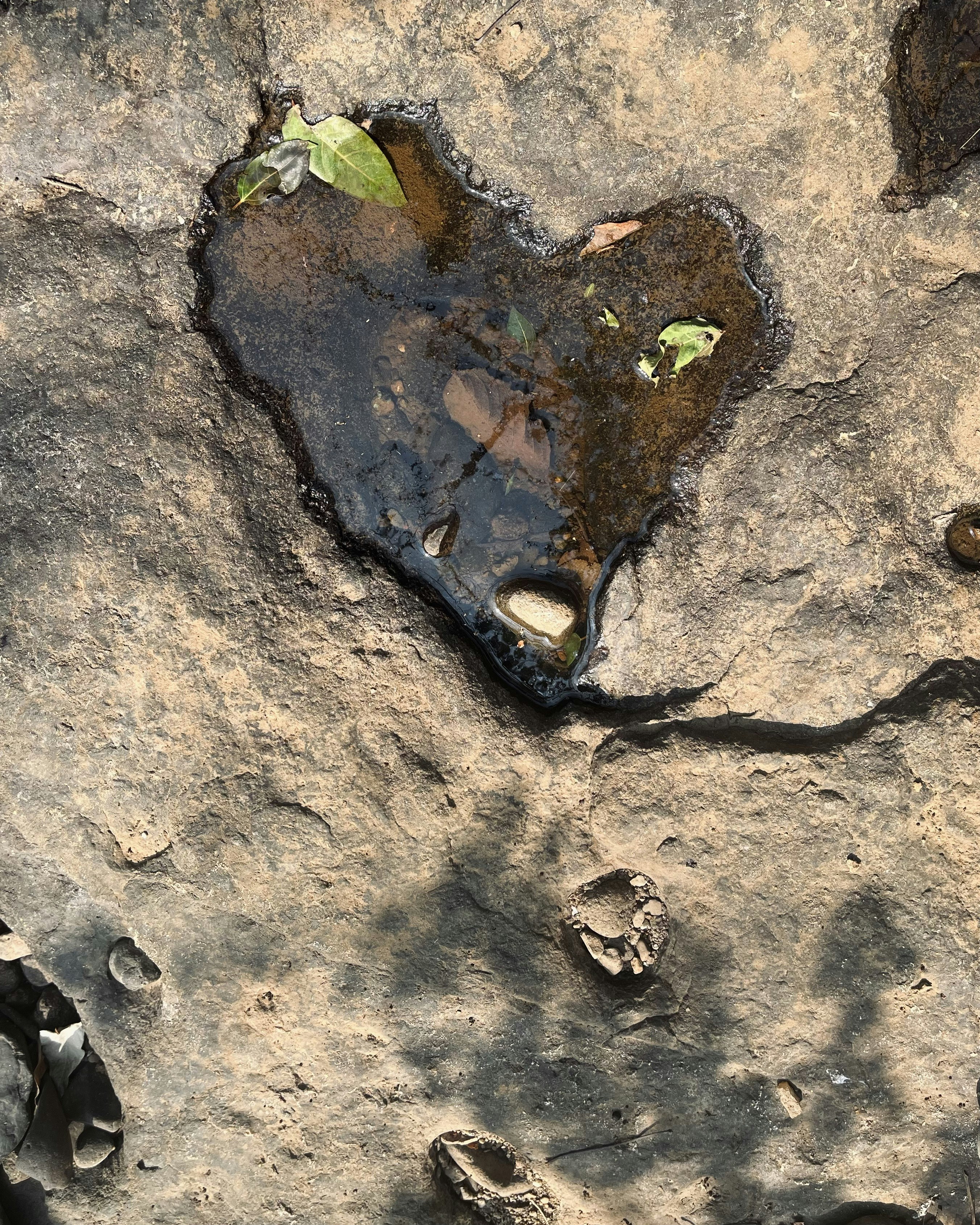 Photo by Vishwasa Navada K