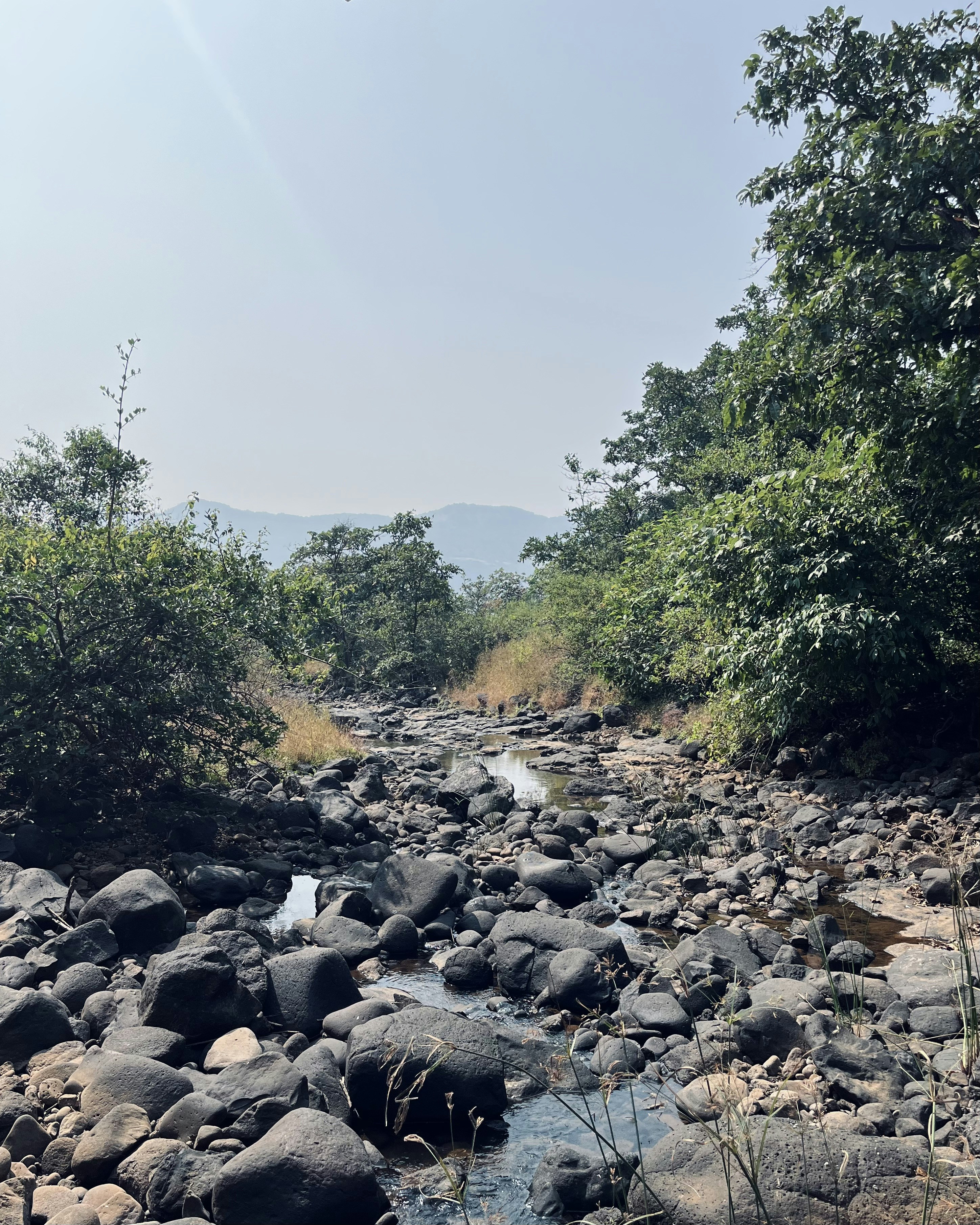 Photo by Vishwasa Navada K