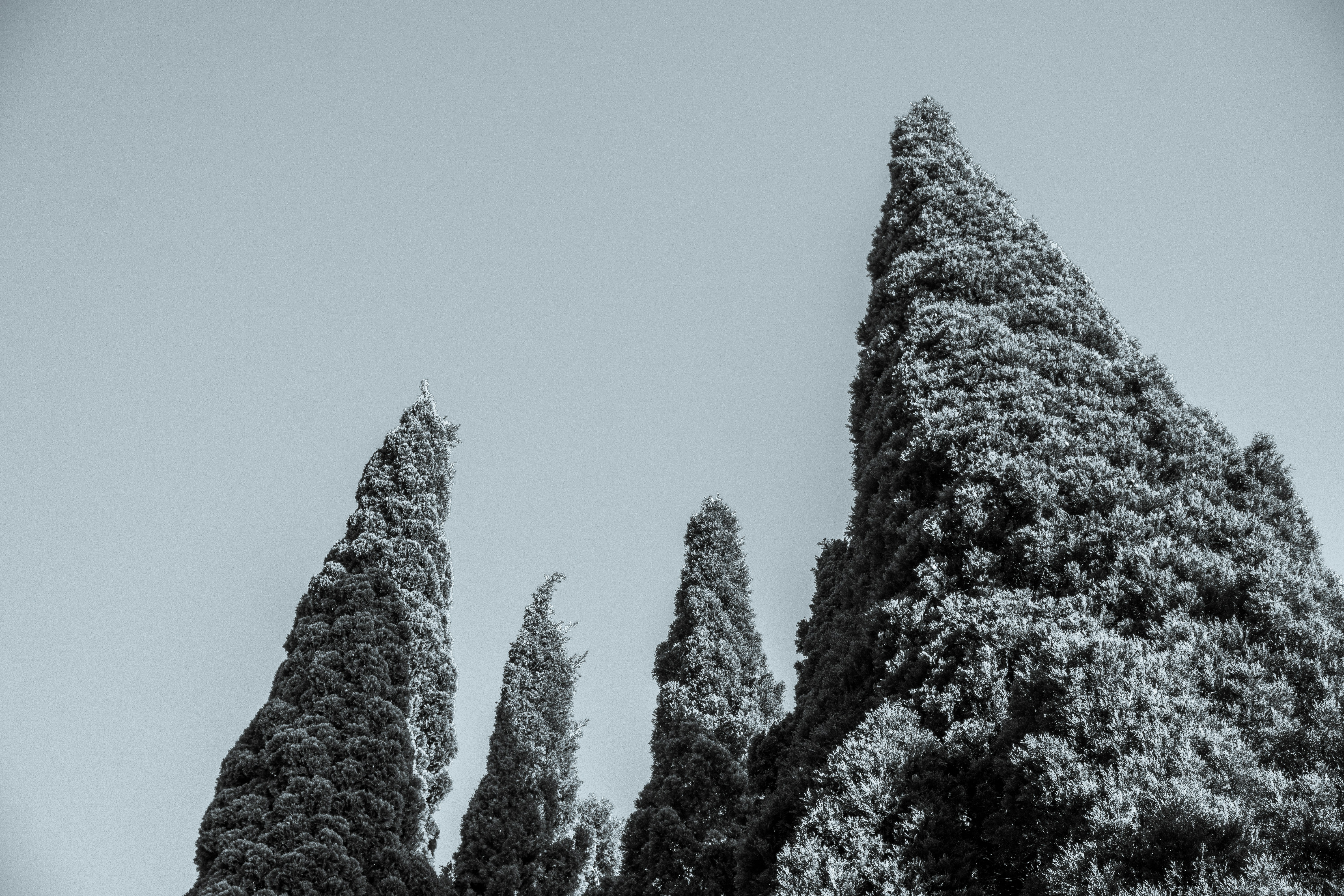 photo-1734176696854-61a210178070?ixid=M3wxMjA3fDB8MXxzZWFyY2h8MTI4fHxTRU8lMjAyMDI0fGVufDB8fHx8MTczNjM0NDM3Mnww%5Cu0026ixlib=rb-4.0.3