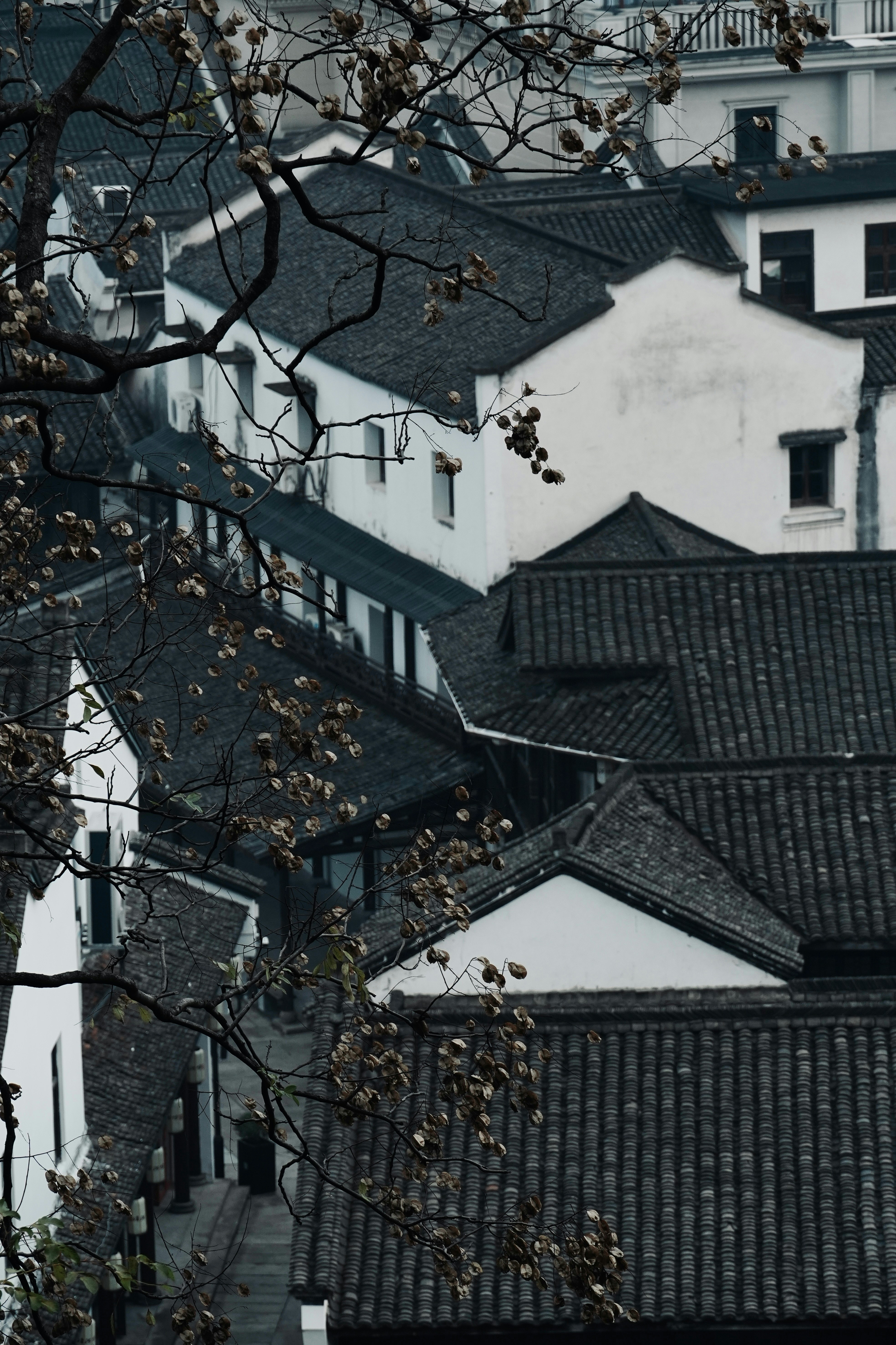 Photo by txxander