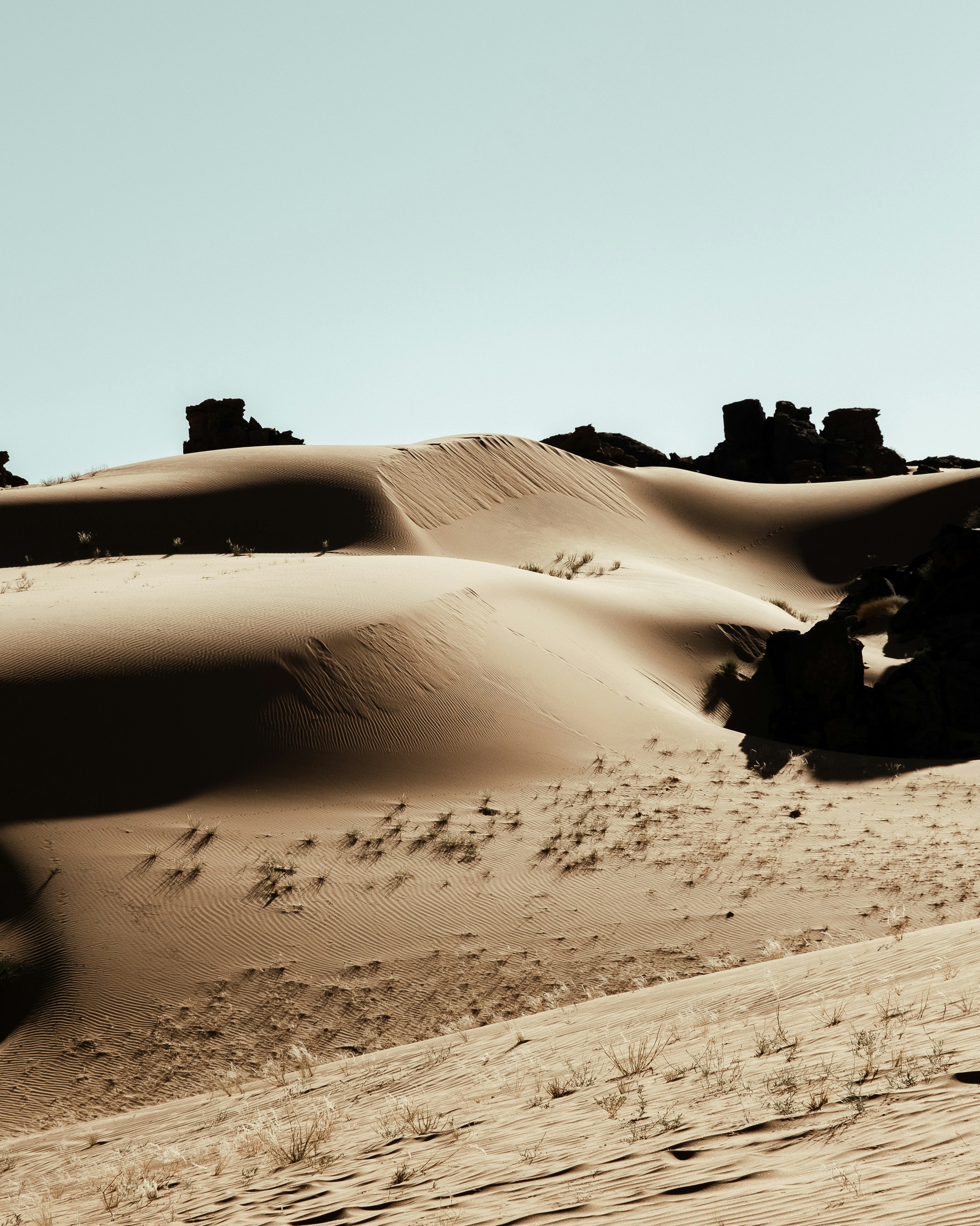 A person riding a bike in the desert