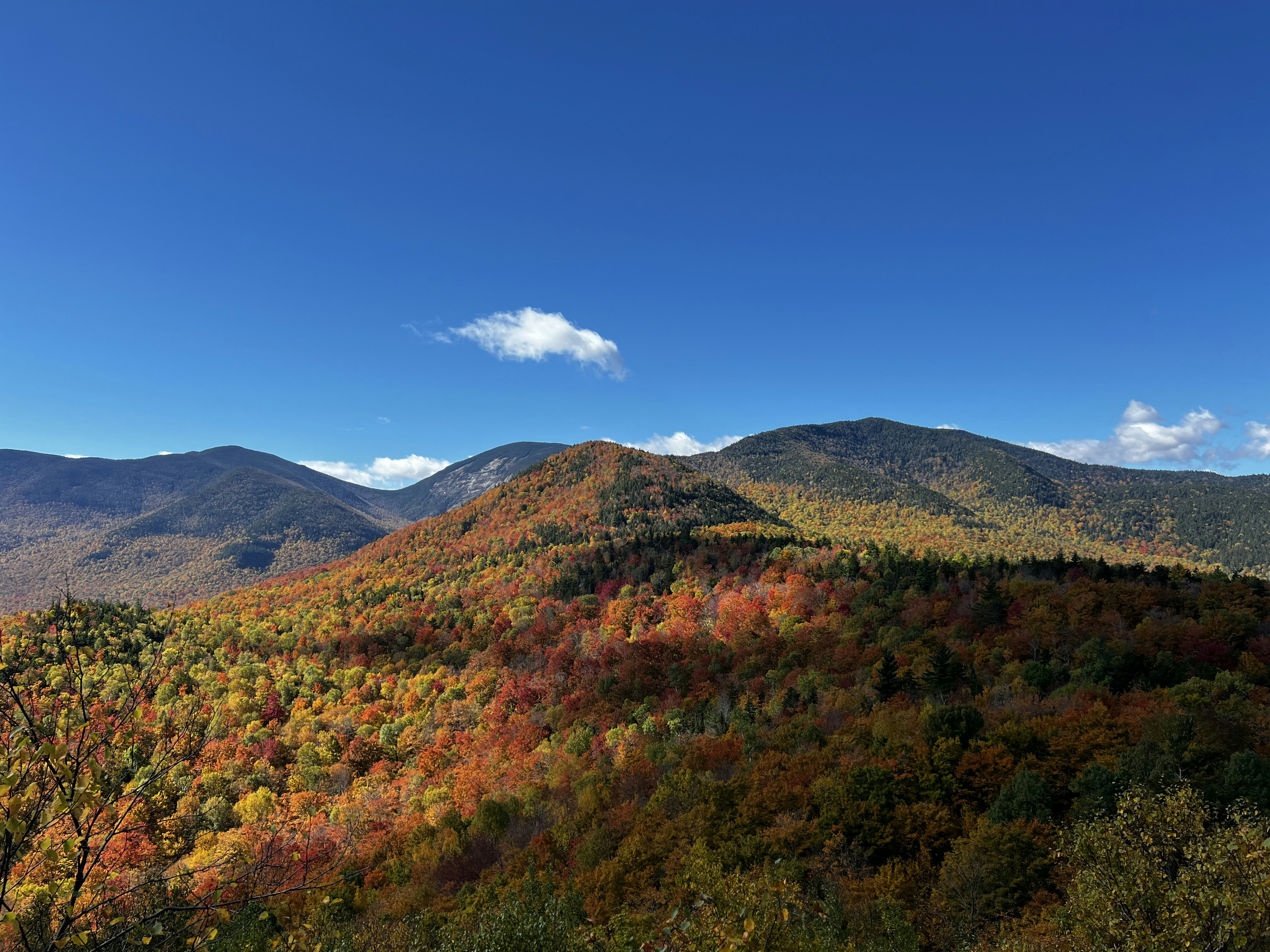 Photo by madelinedale