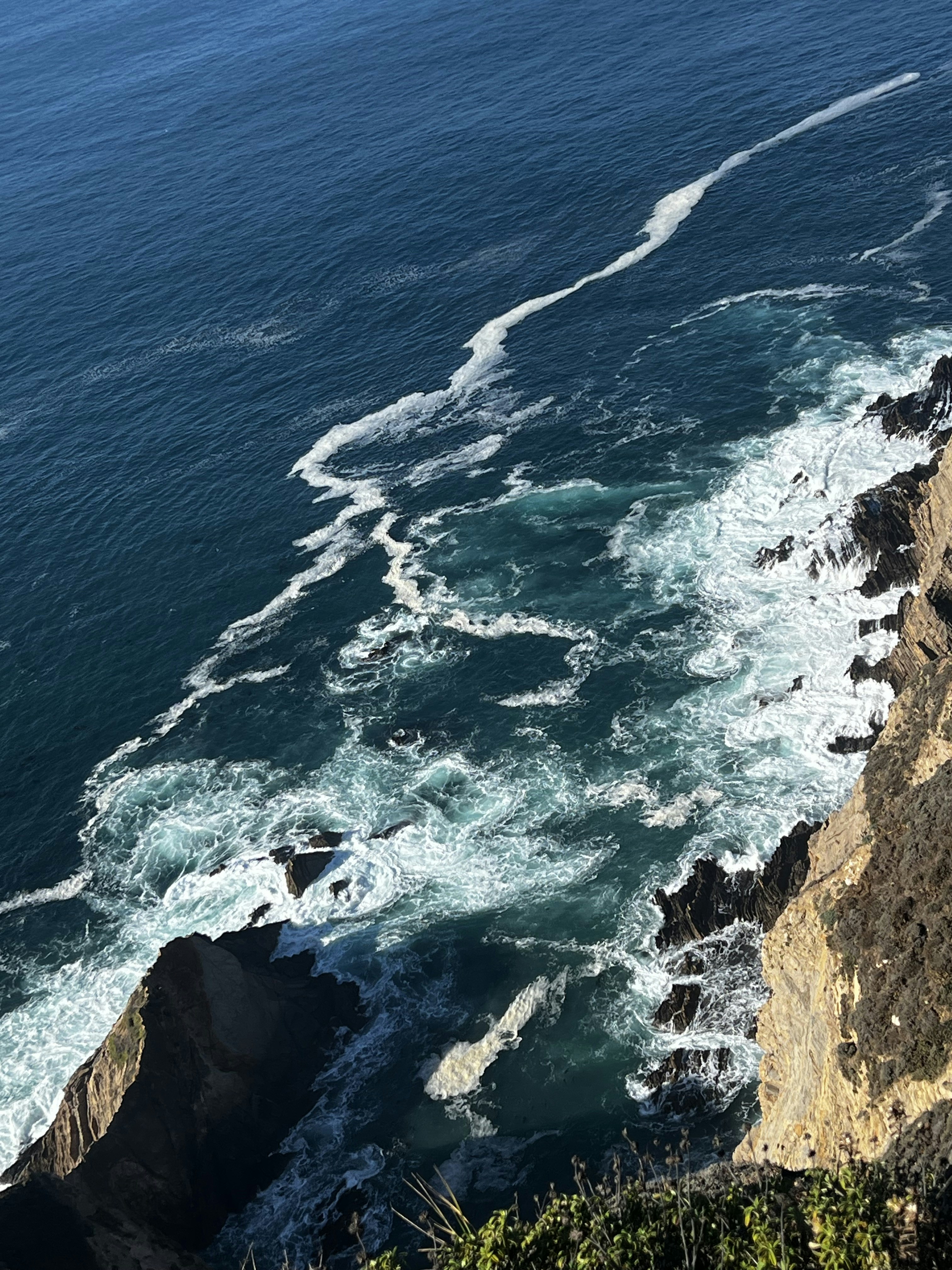 Photo by madelinedale