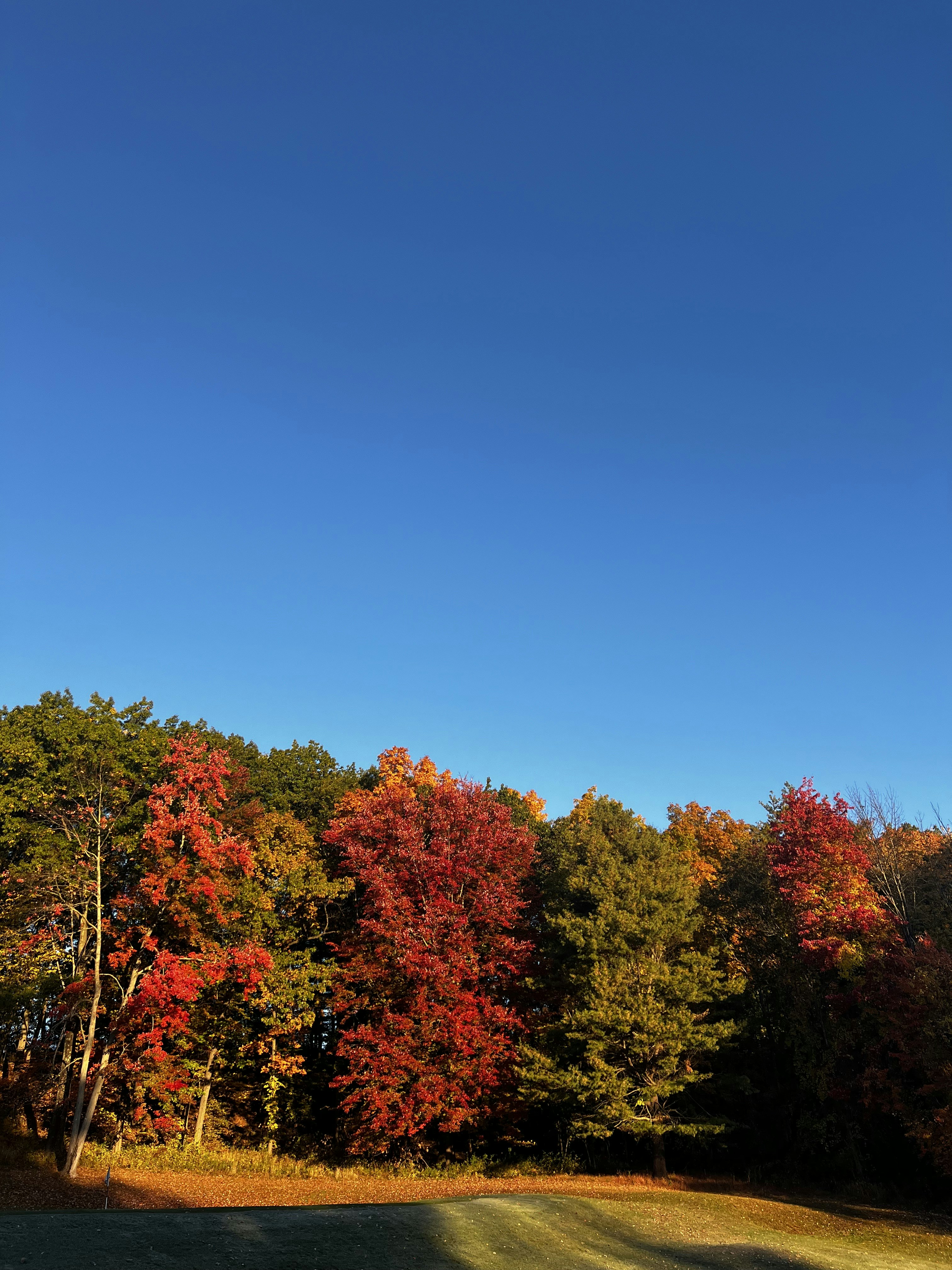 A scenic view of Blue Ridge Parkway in autumn