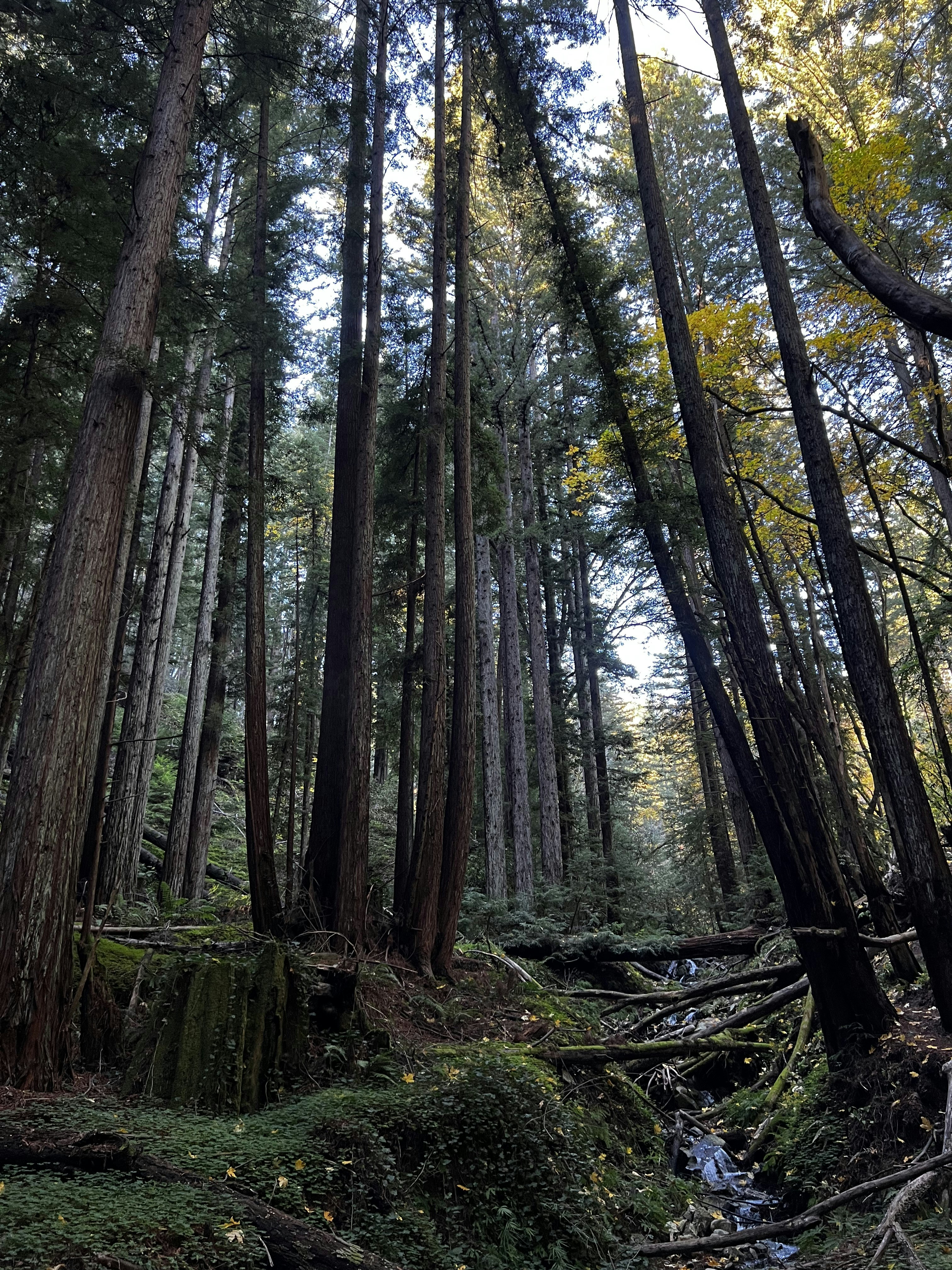 Photo by madelinedale