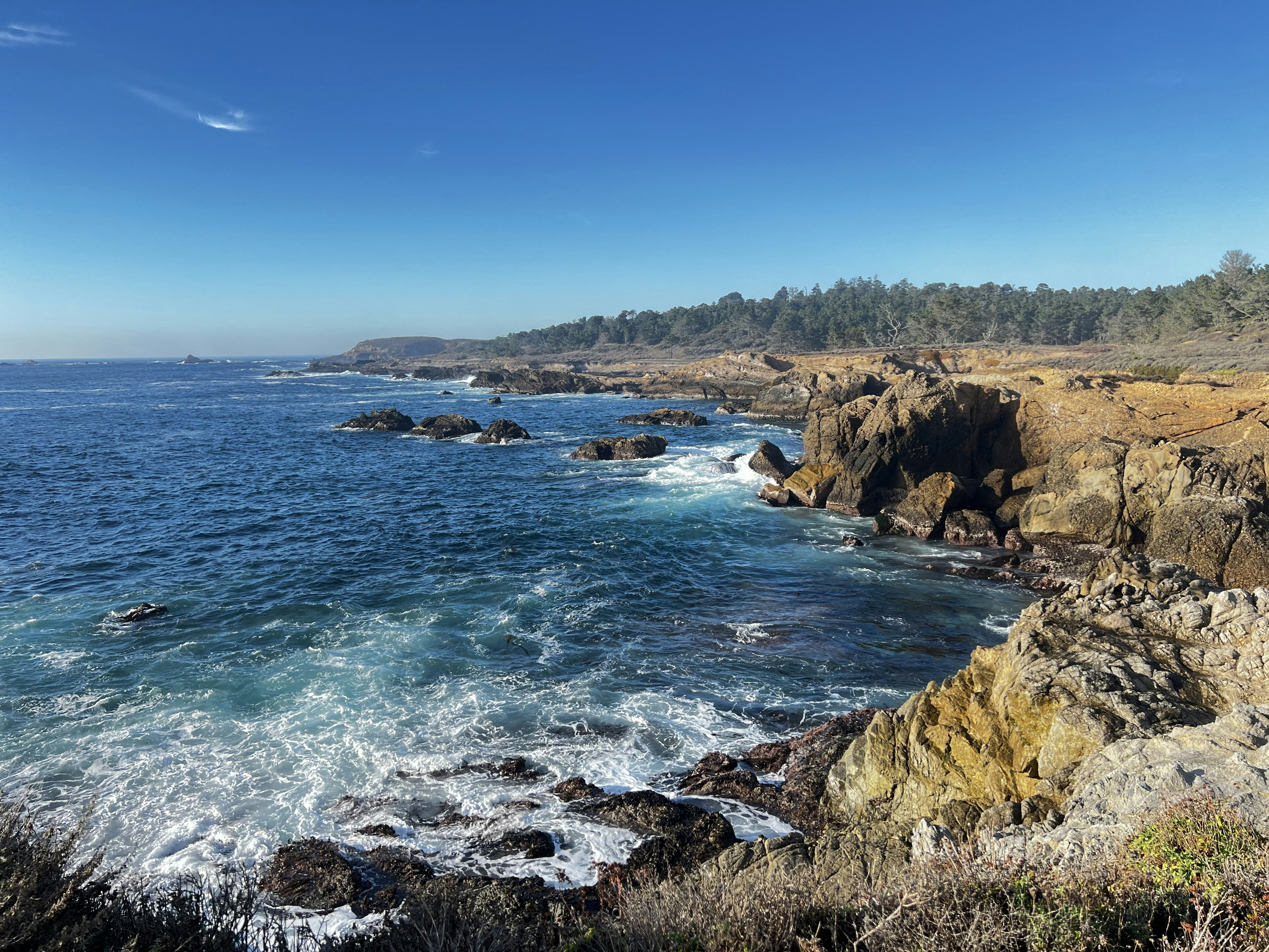 Photo by madelinedale