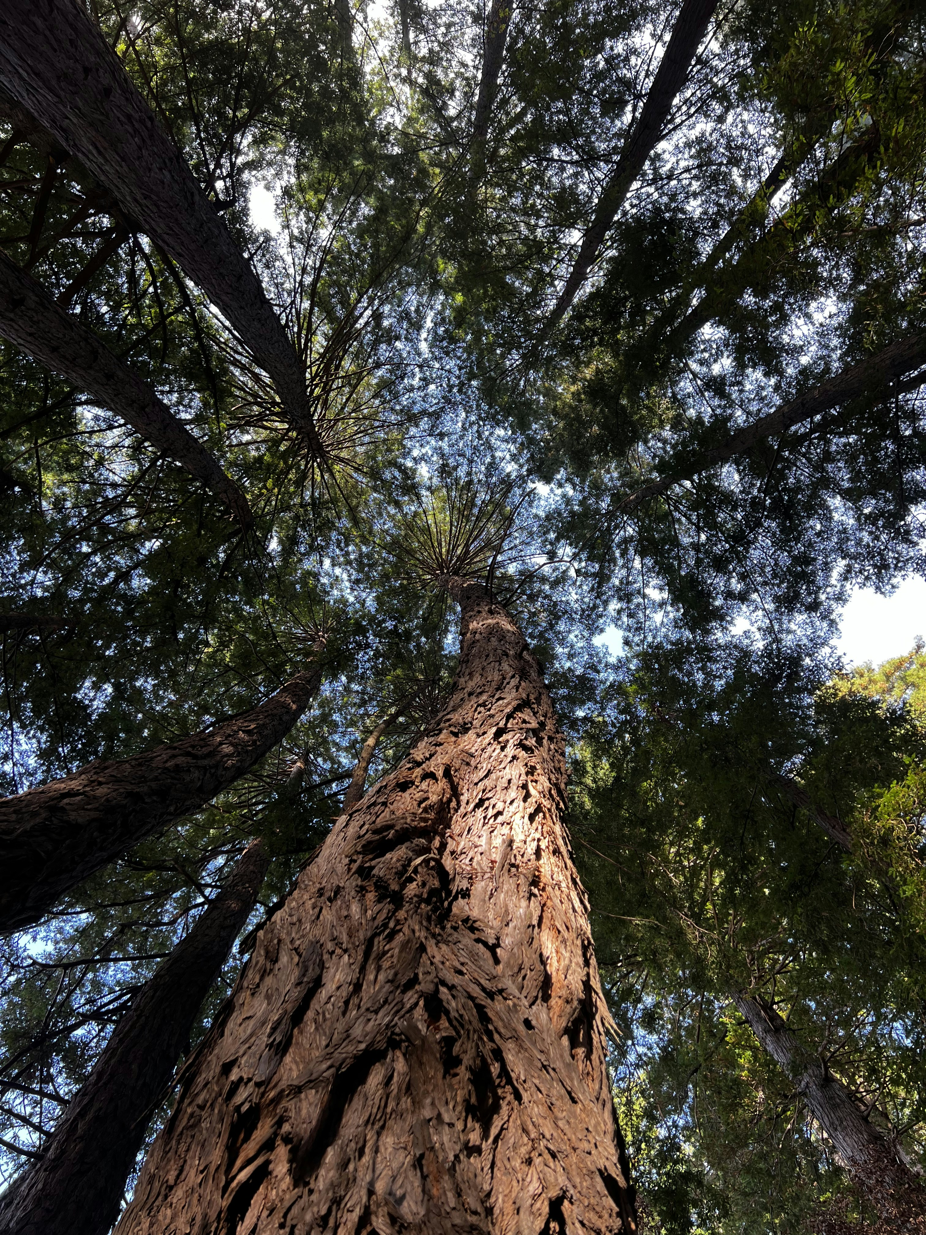 Photo by madelinedale