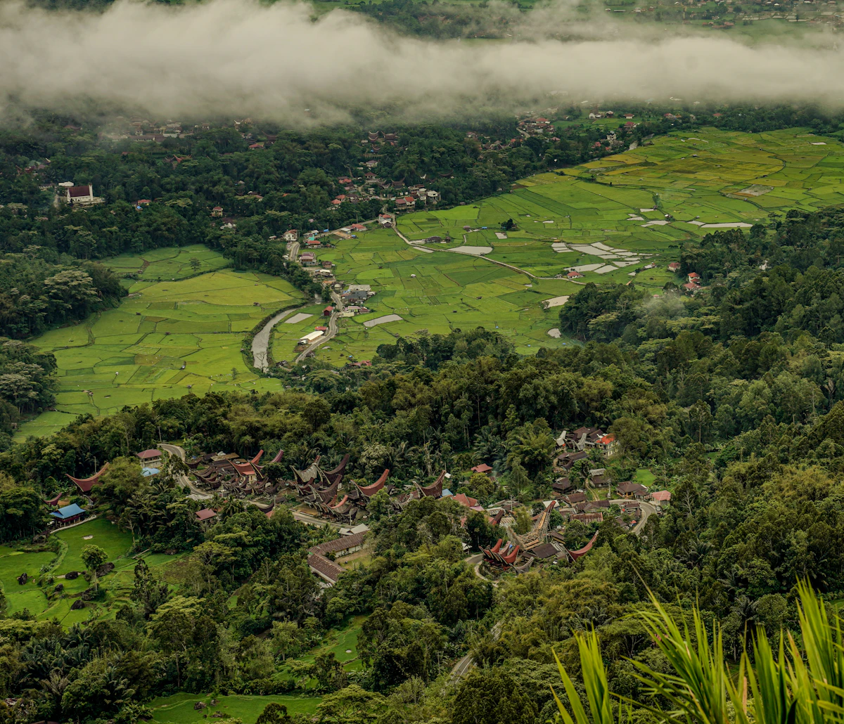 Batutumonga Cloud Peak Highland Trek & Organic Coffee Trail