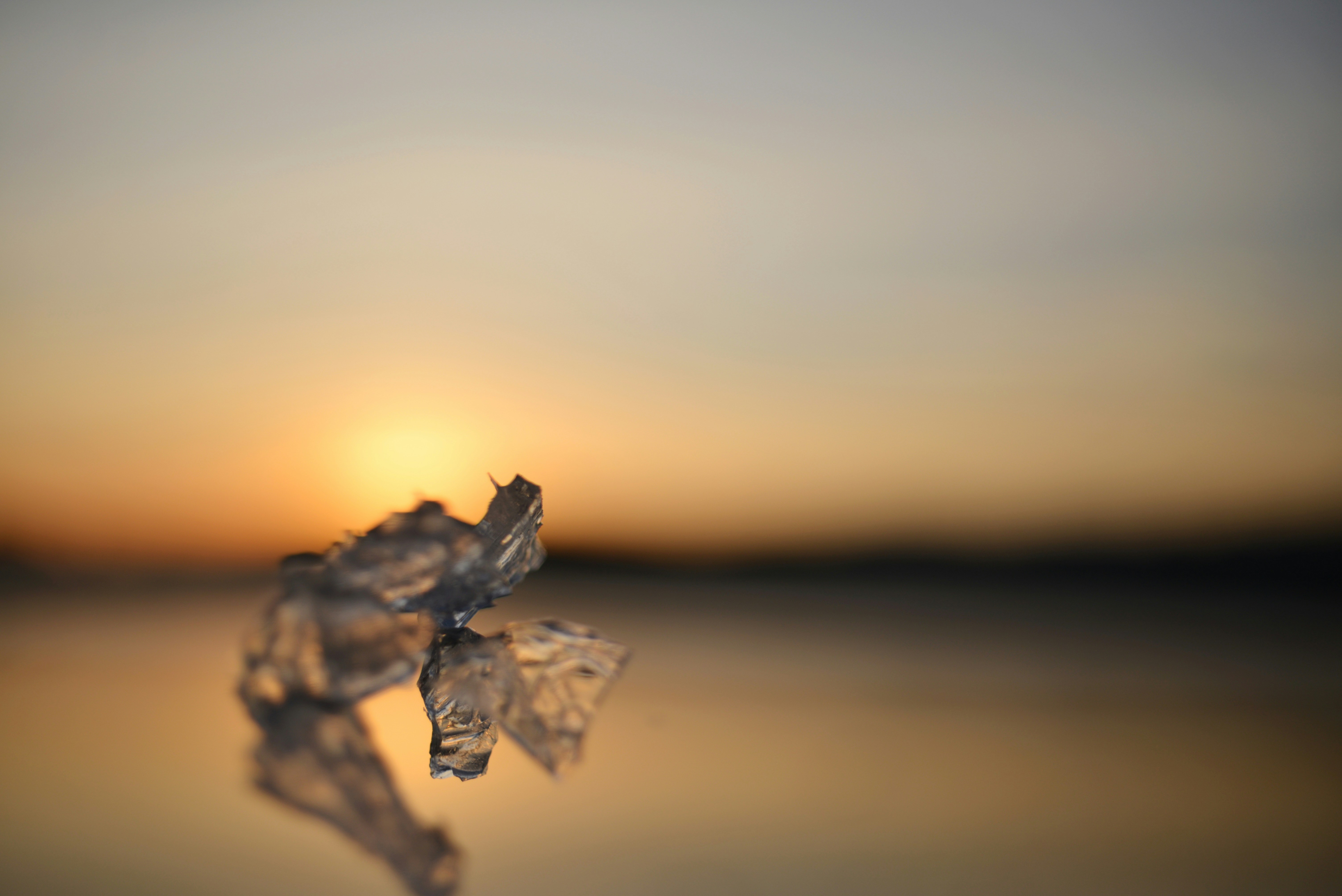 Photo by cherstve_pechivo