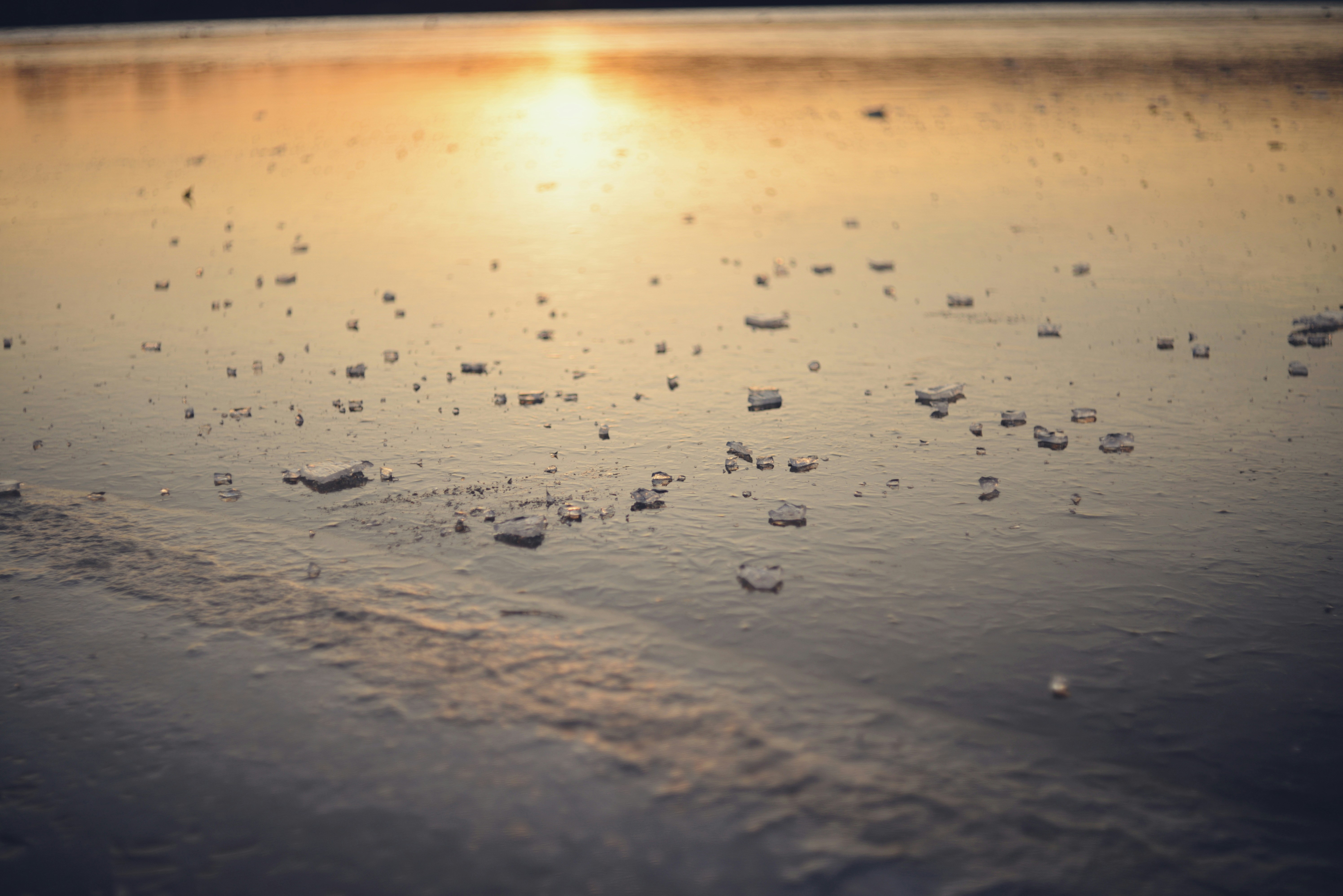 Photo by cherstve_pechivo